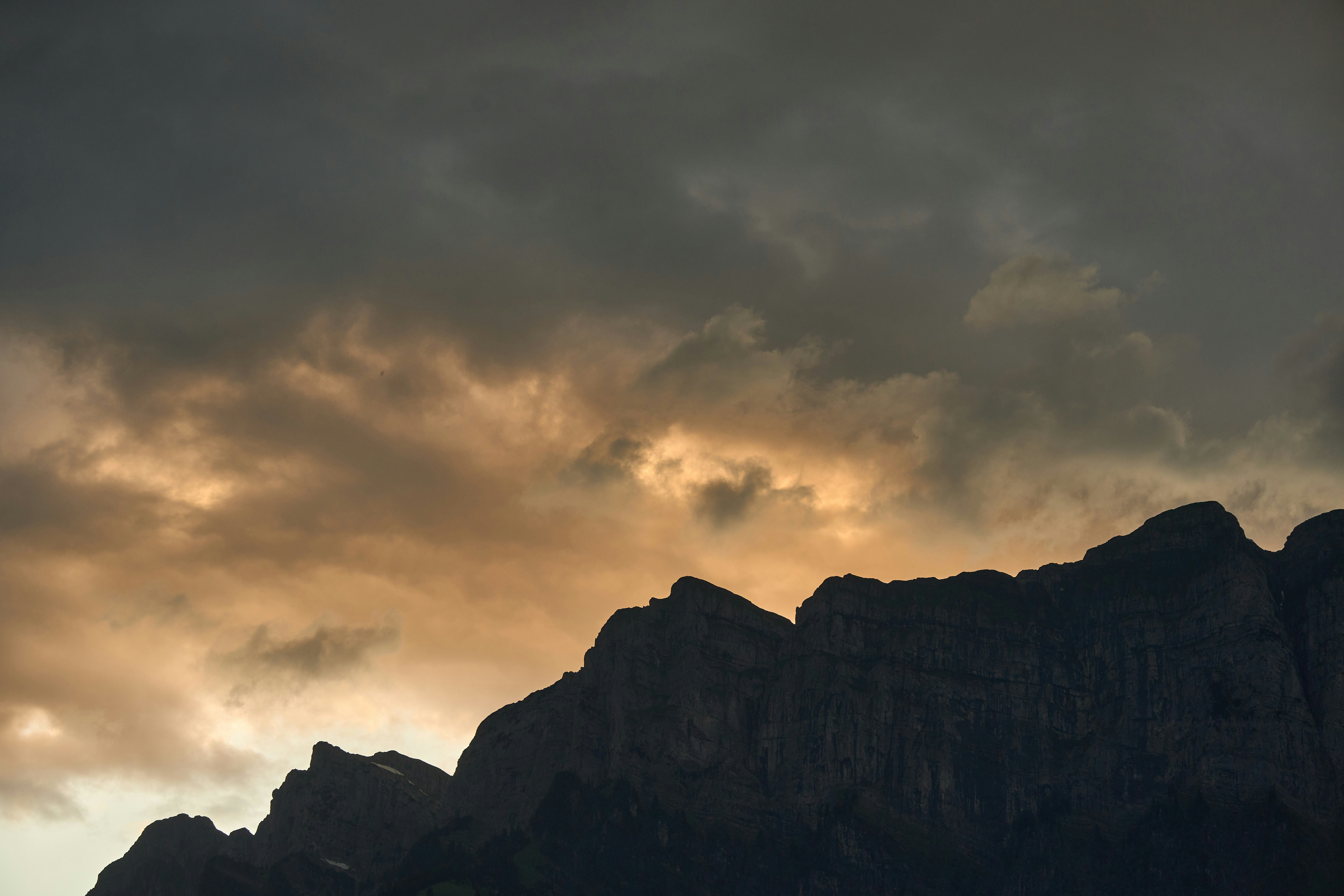 Photo by wolfgang_hasselmann