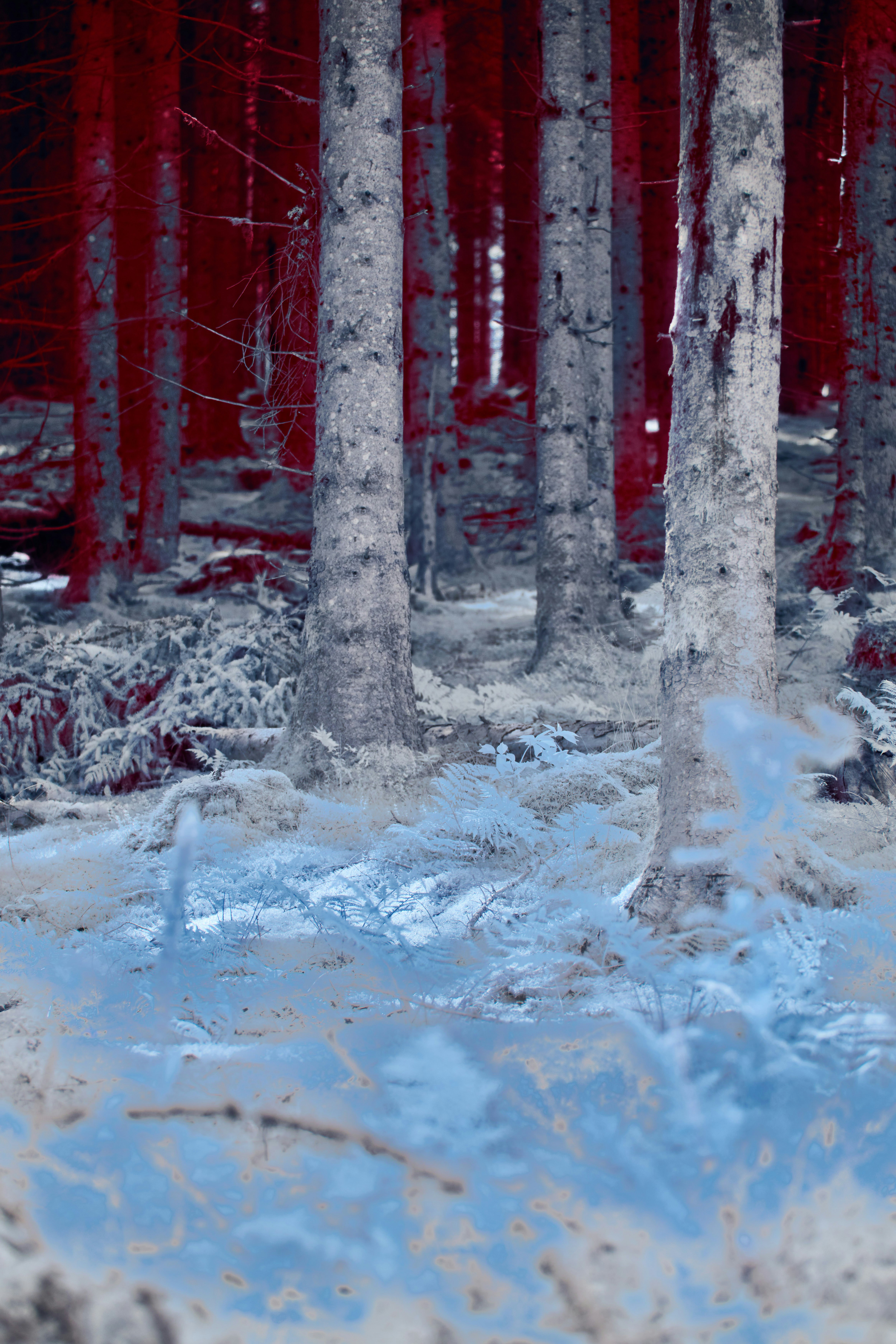 Photo by wolfgang_hasselmann