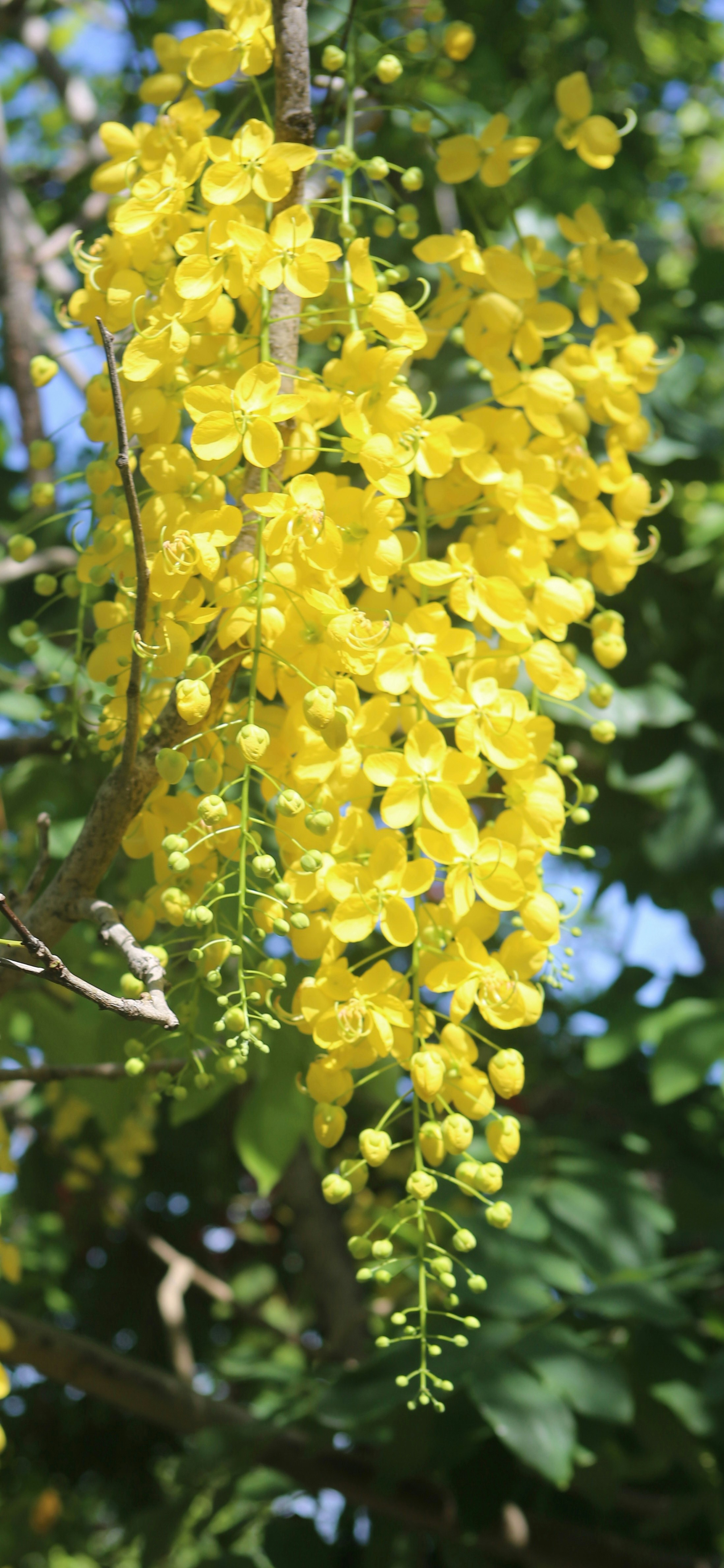 Photo by colin_p_hills_photography