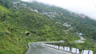 A winding road in the middle of a lush green hillside