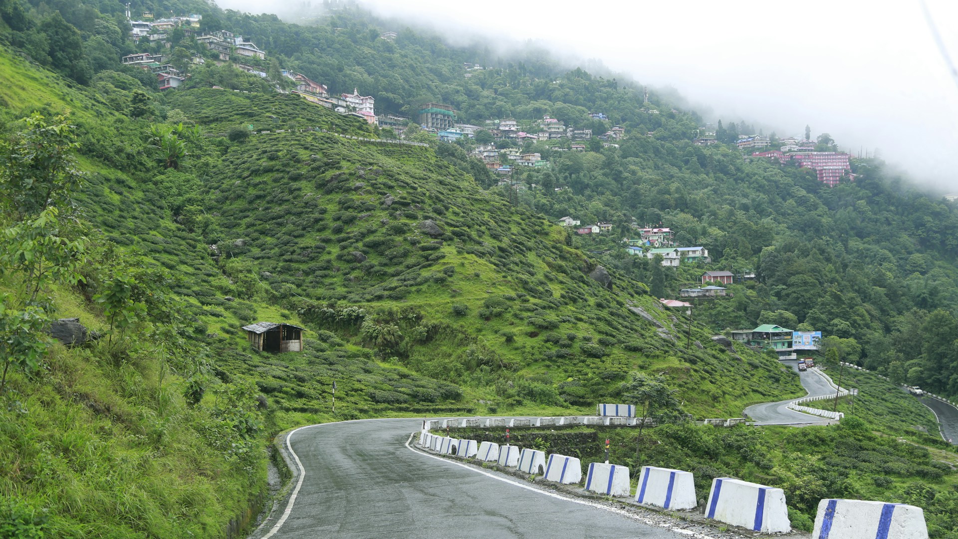A winding road in the middle of a lush green hillside