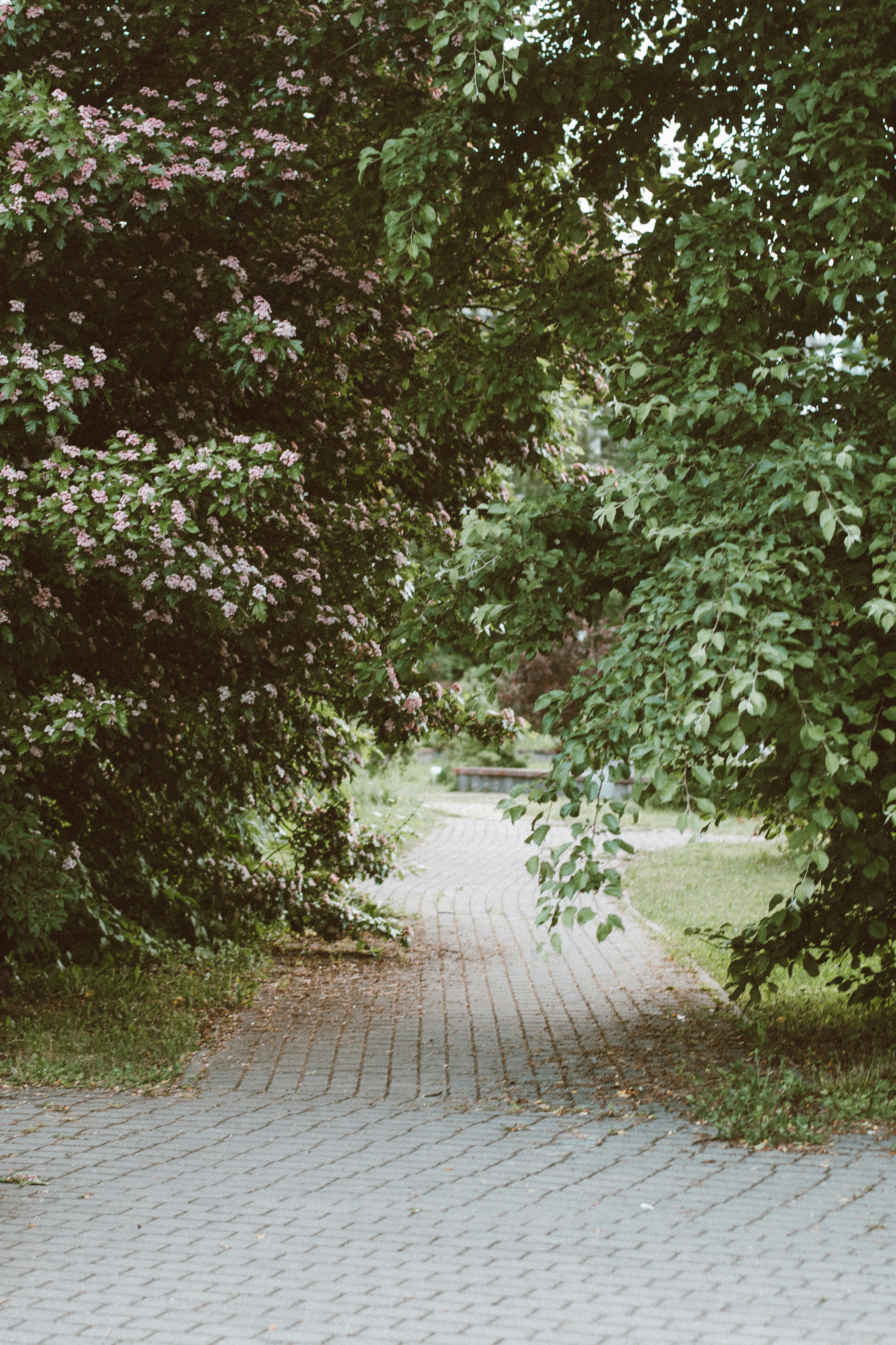 Create Outdoor Shade (image credits: unsplash)