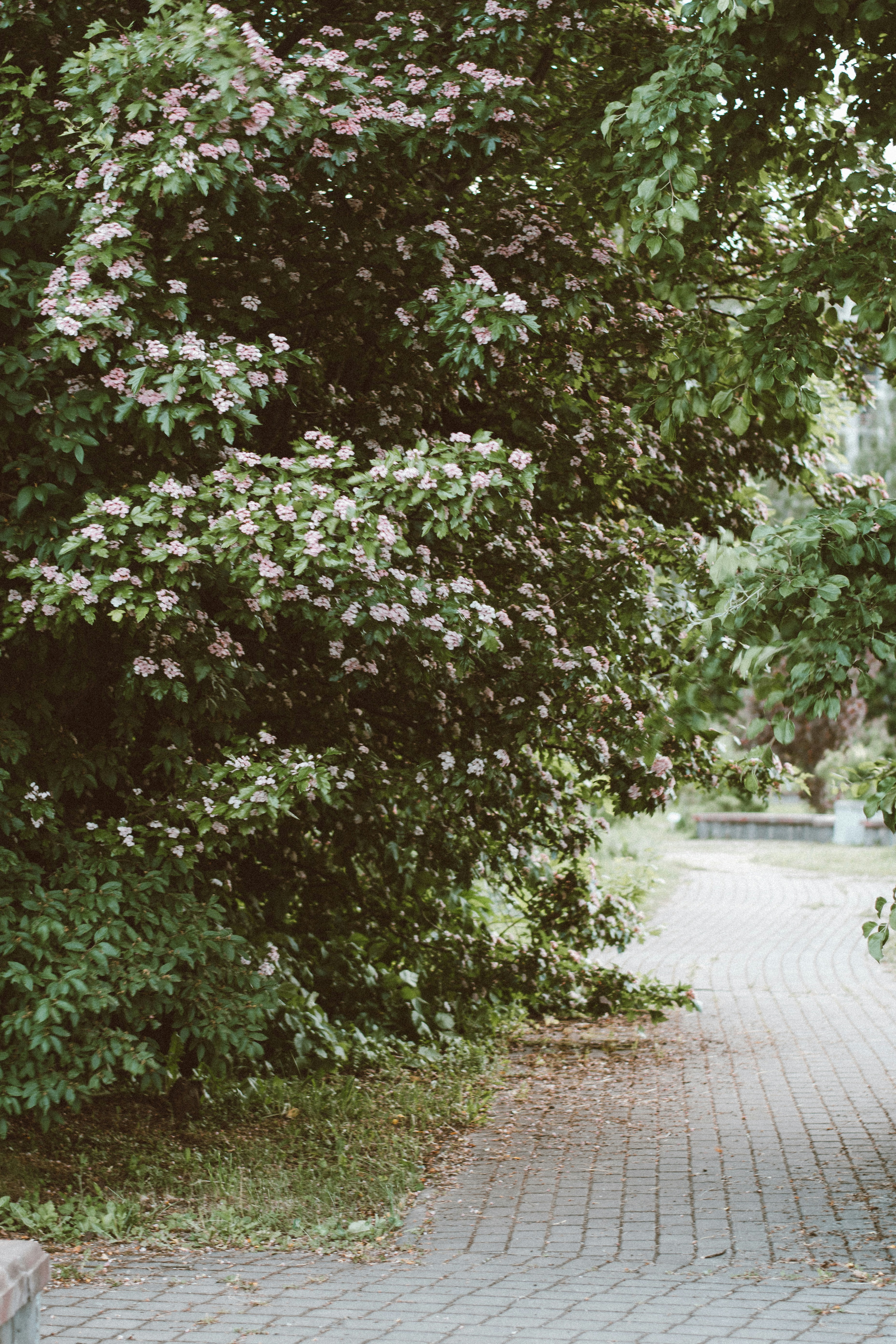 Photo by dinamakhmutova