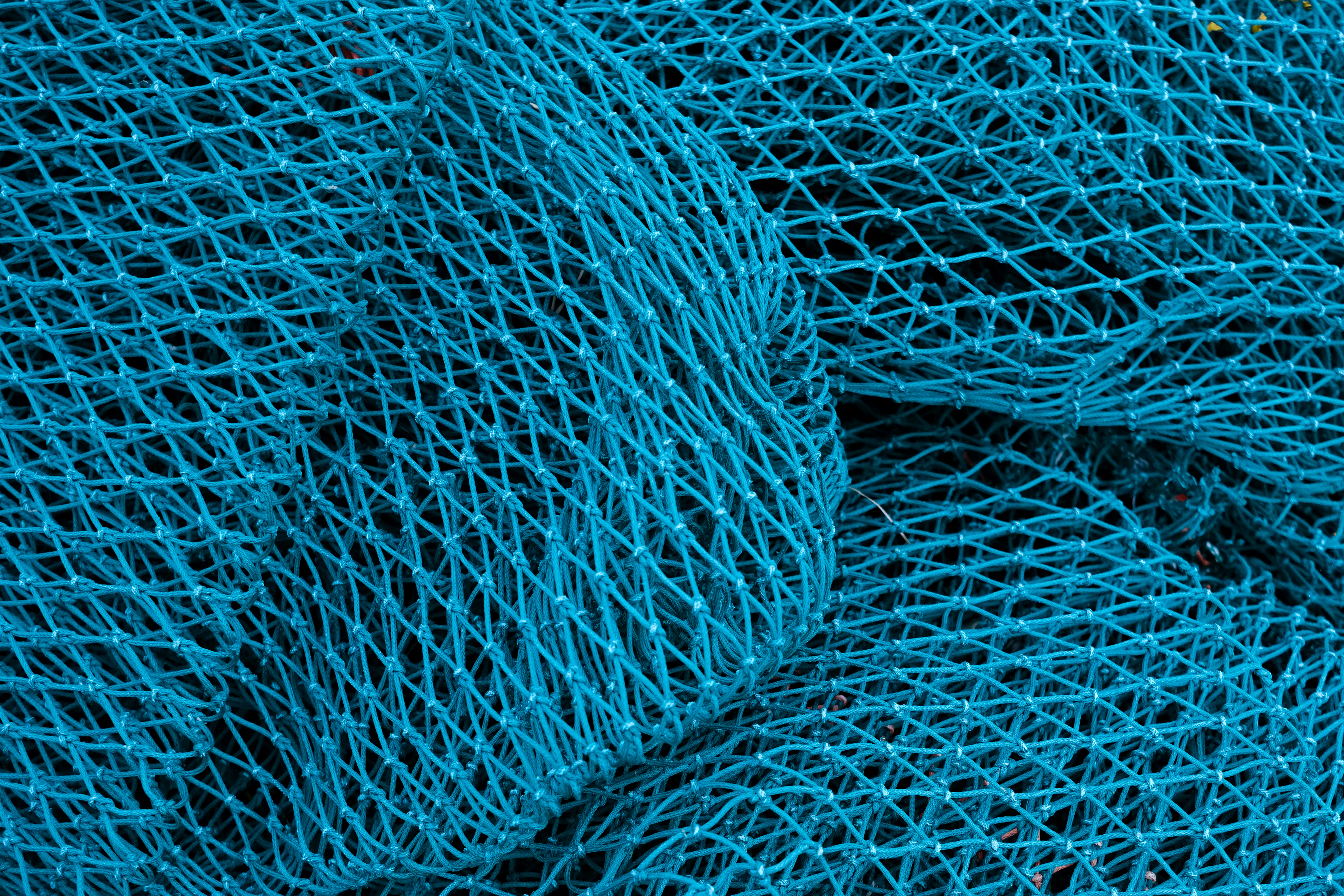 Nahaufnahme eines blauen Netzes