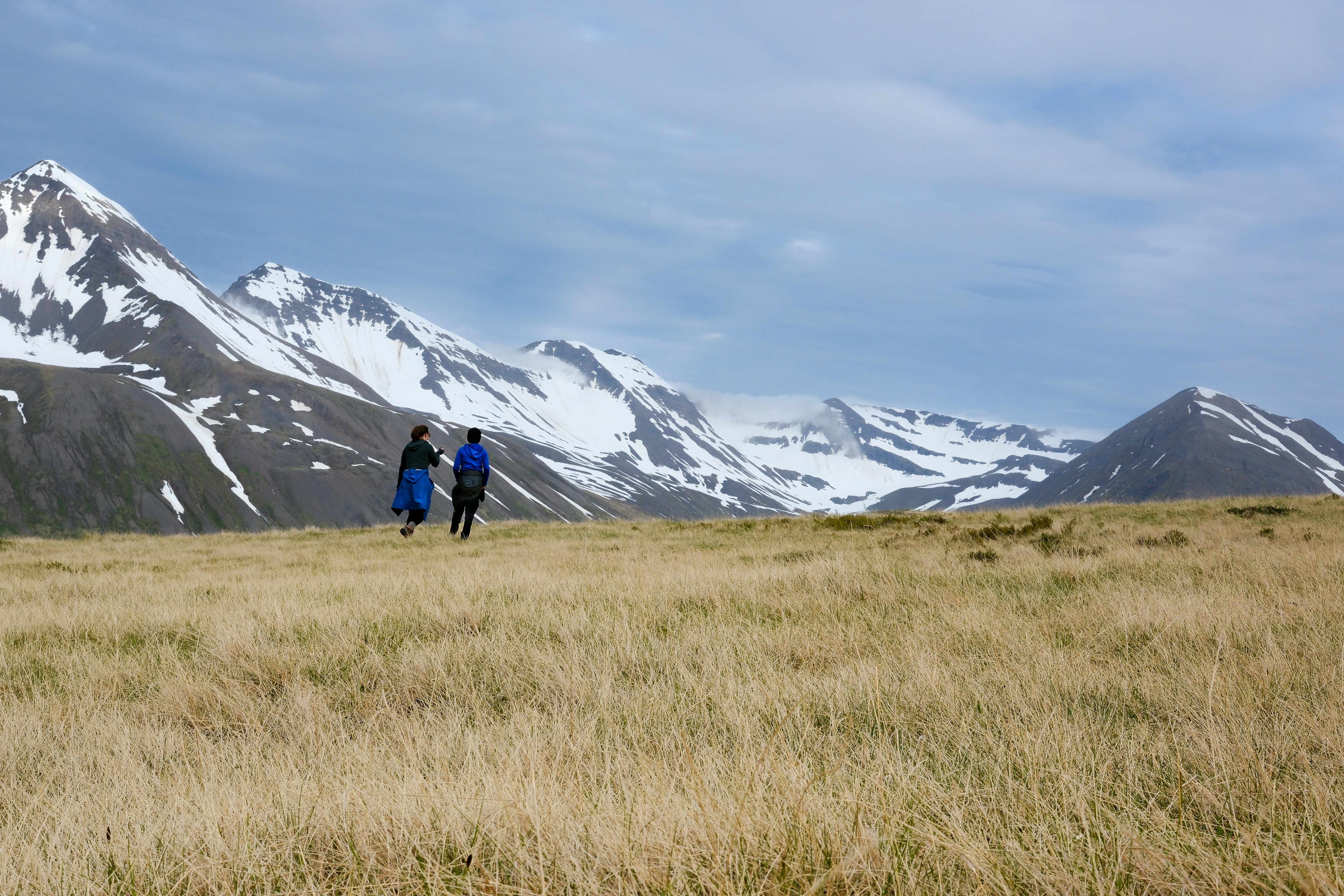 A couple of people that are standing in the grass