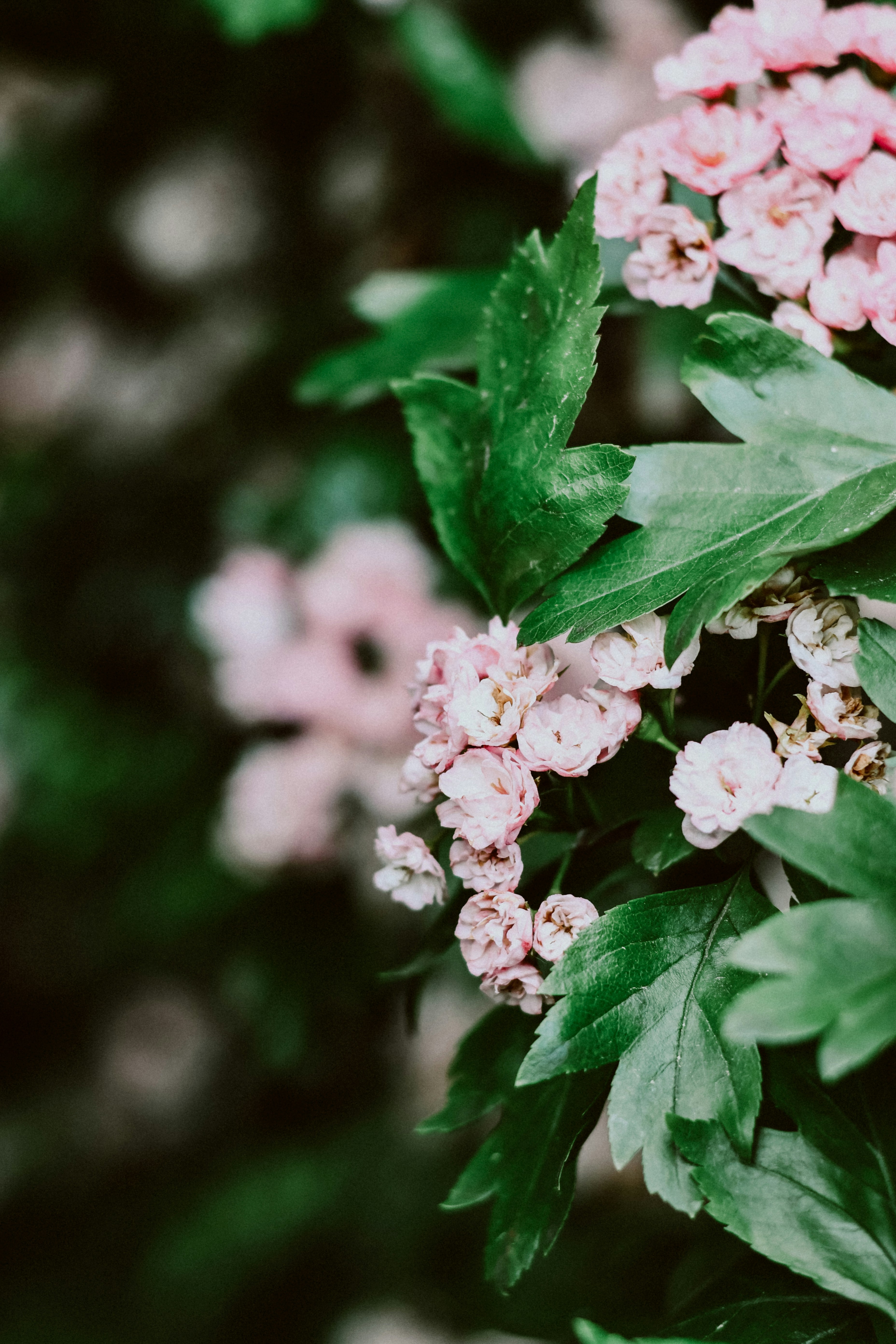 Photo by dinamakhmutova