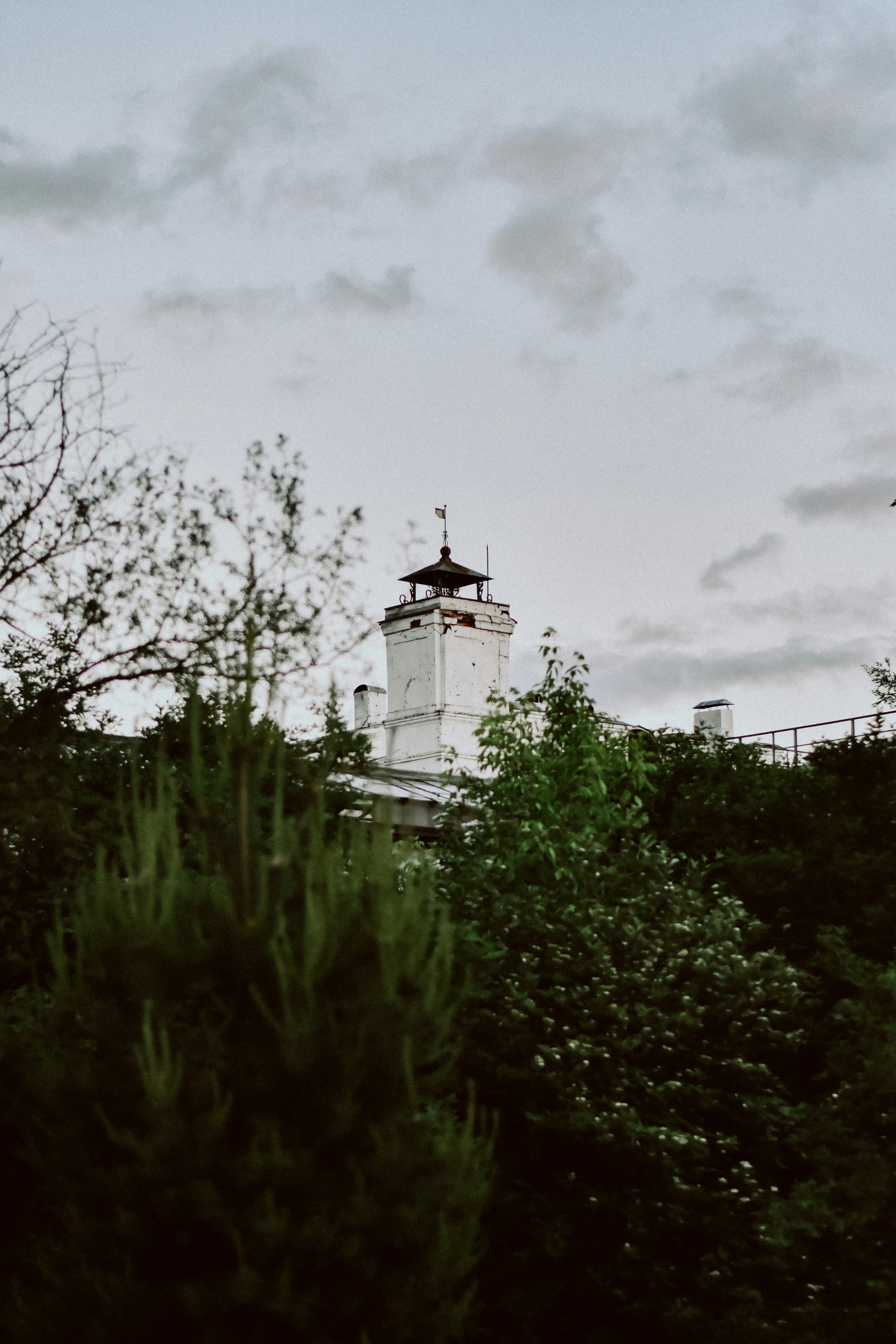 Photo by dinamakhmutova