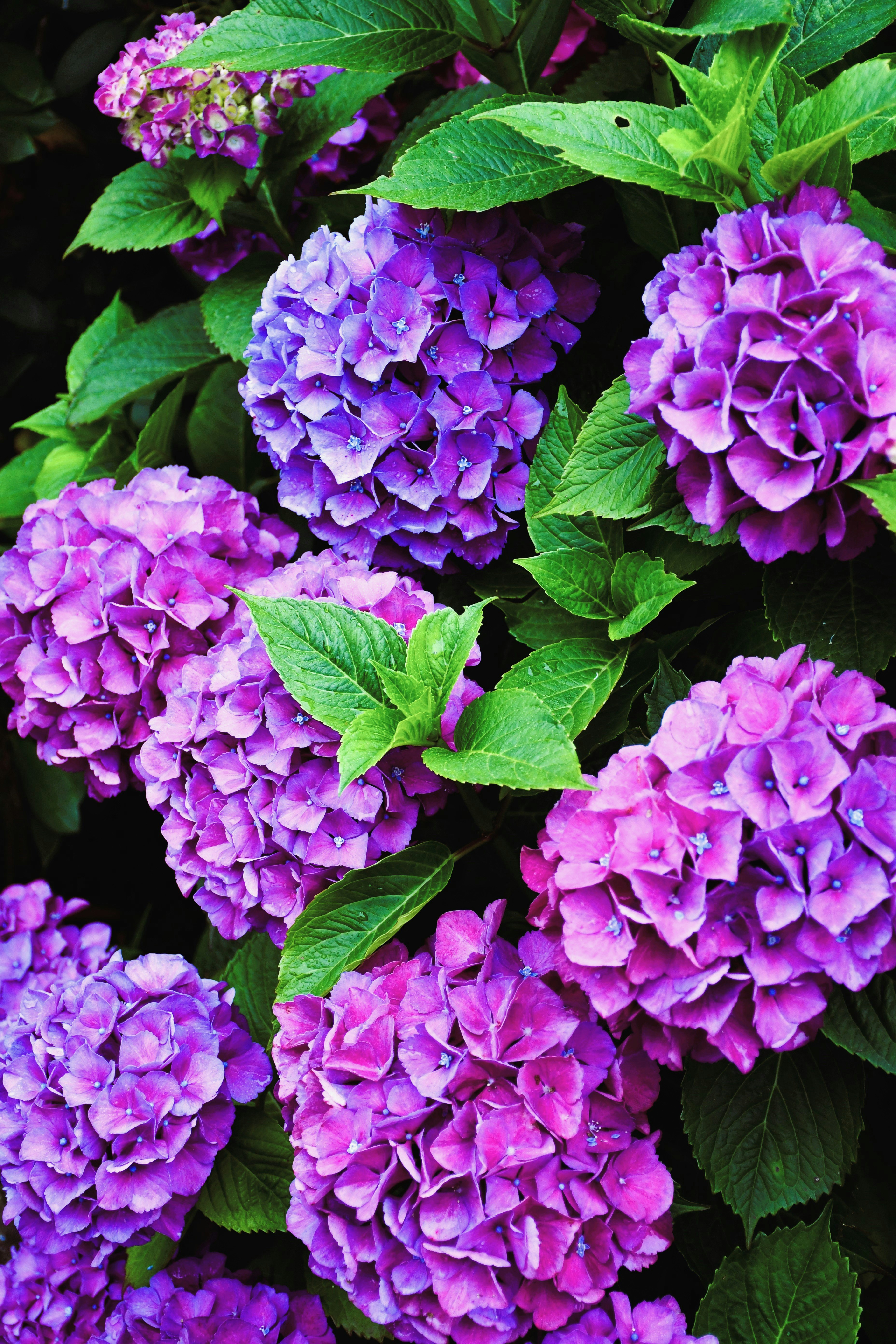 Photo by oleksandra_syrytsia