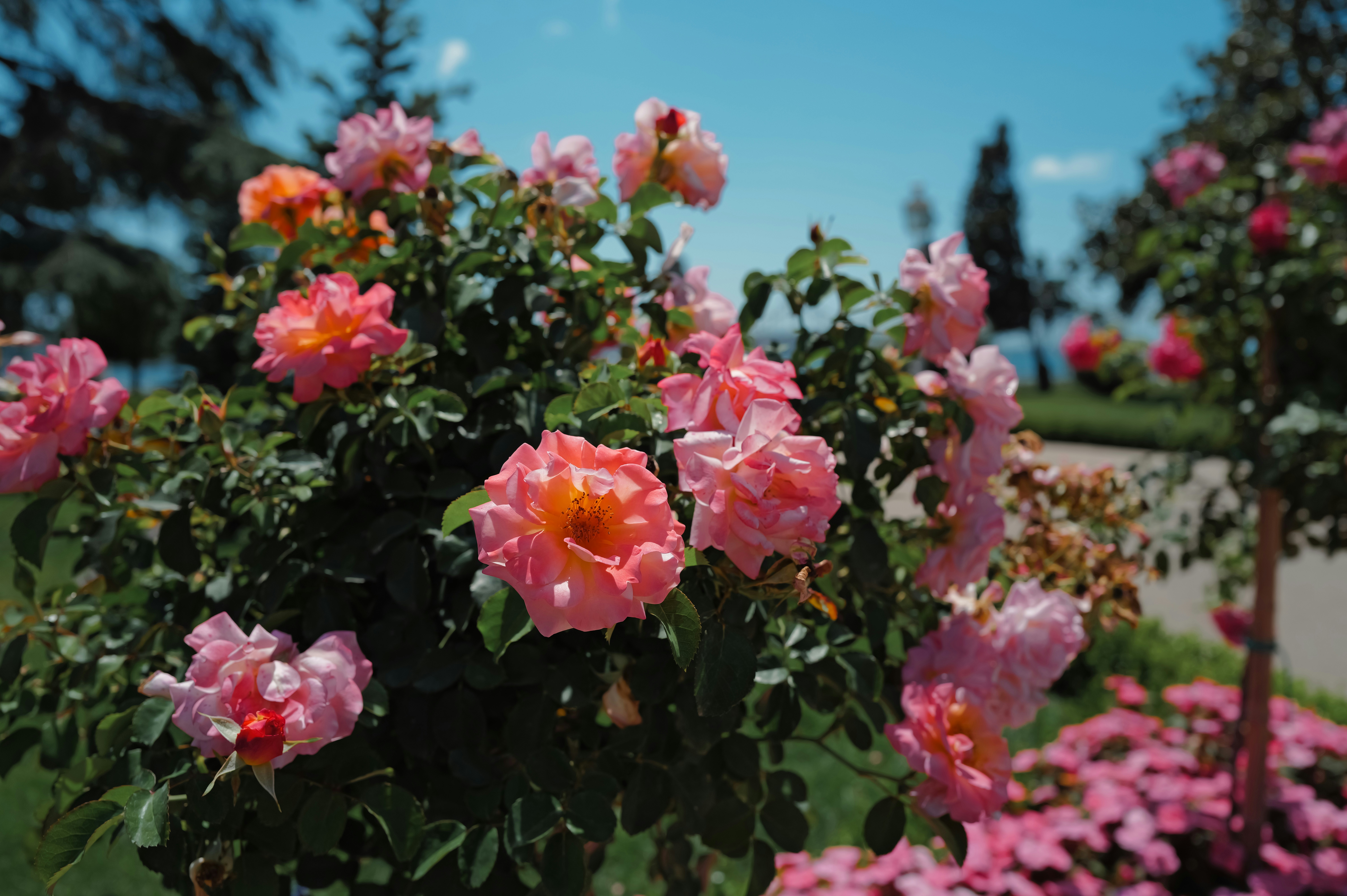 Photo by soflightsto