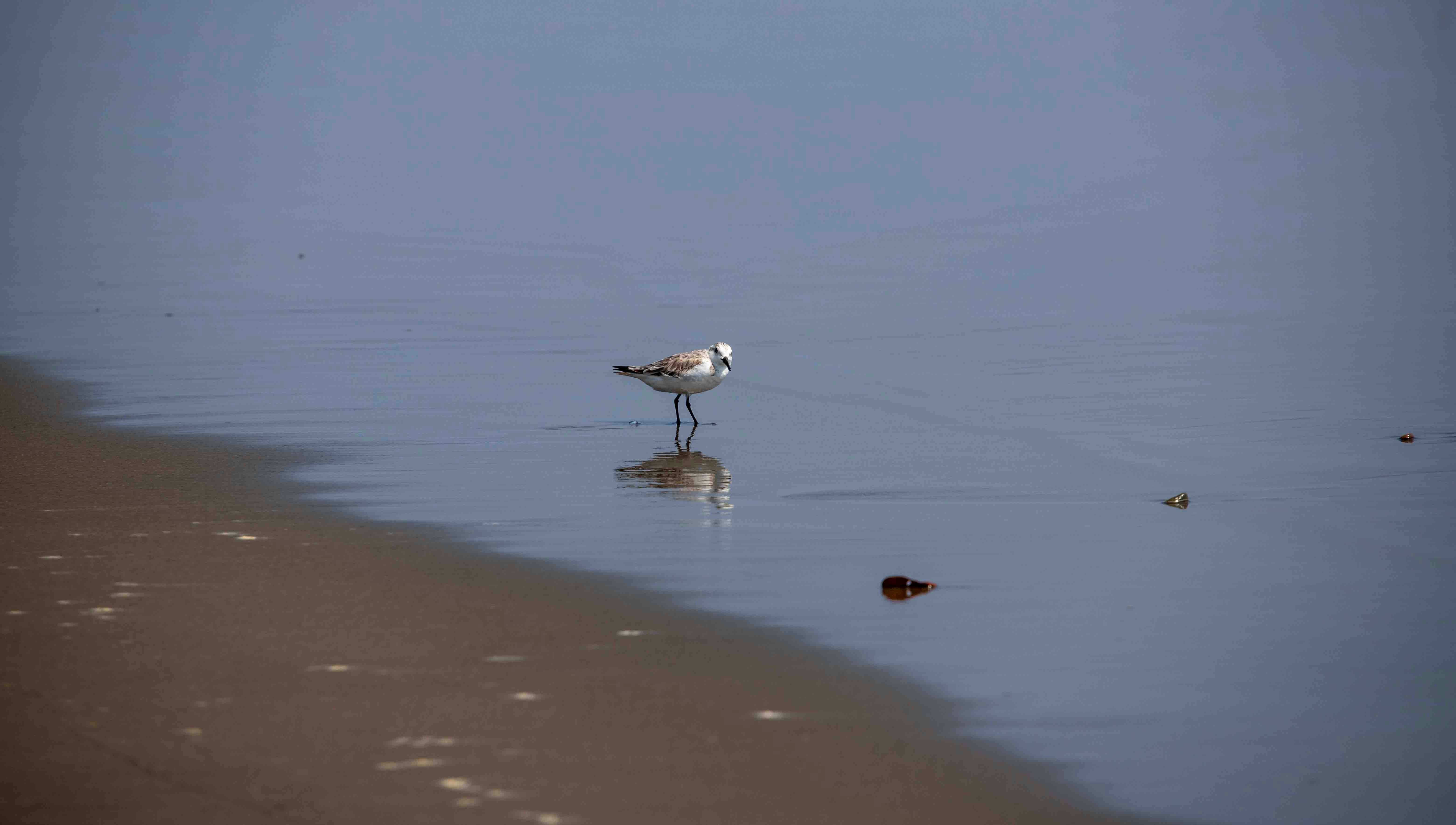 Photo by hdbernd