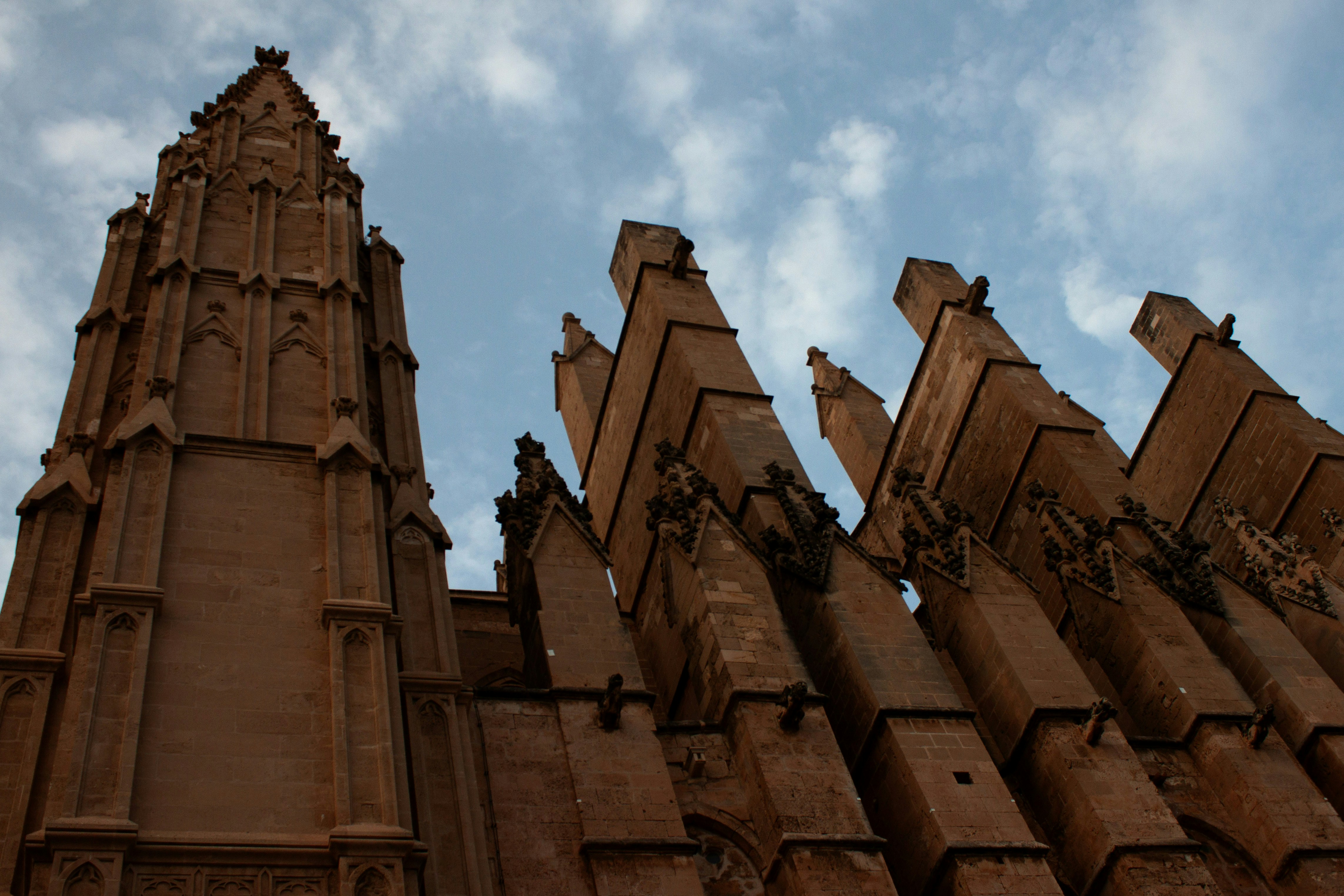 Photo by miguelbaixauli