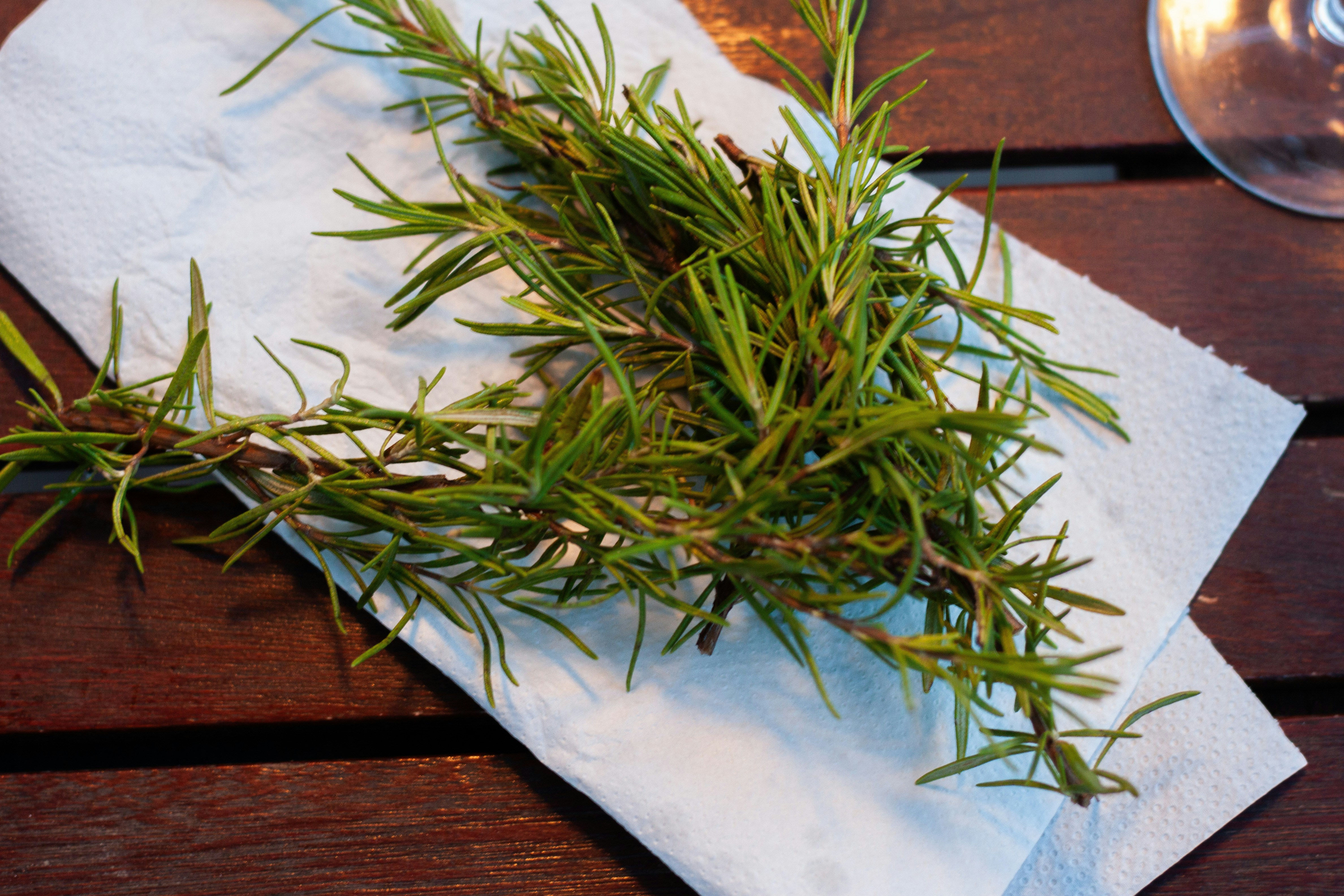 Aneka herba aromatik untuk masakan kontinental seperti rosemary, thyme, basil, oregano, dan parsley