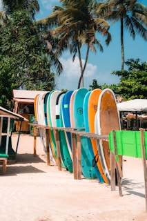 A row of surfboards sitting on top of a sandy beach