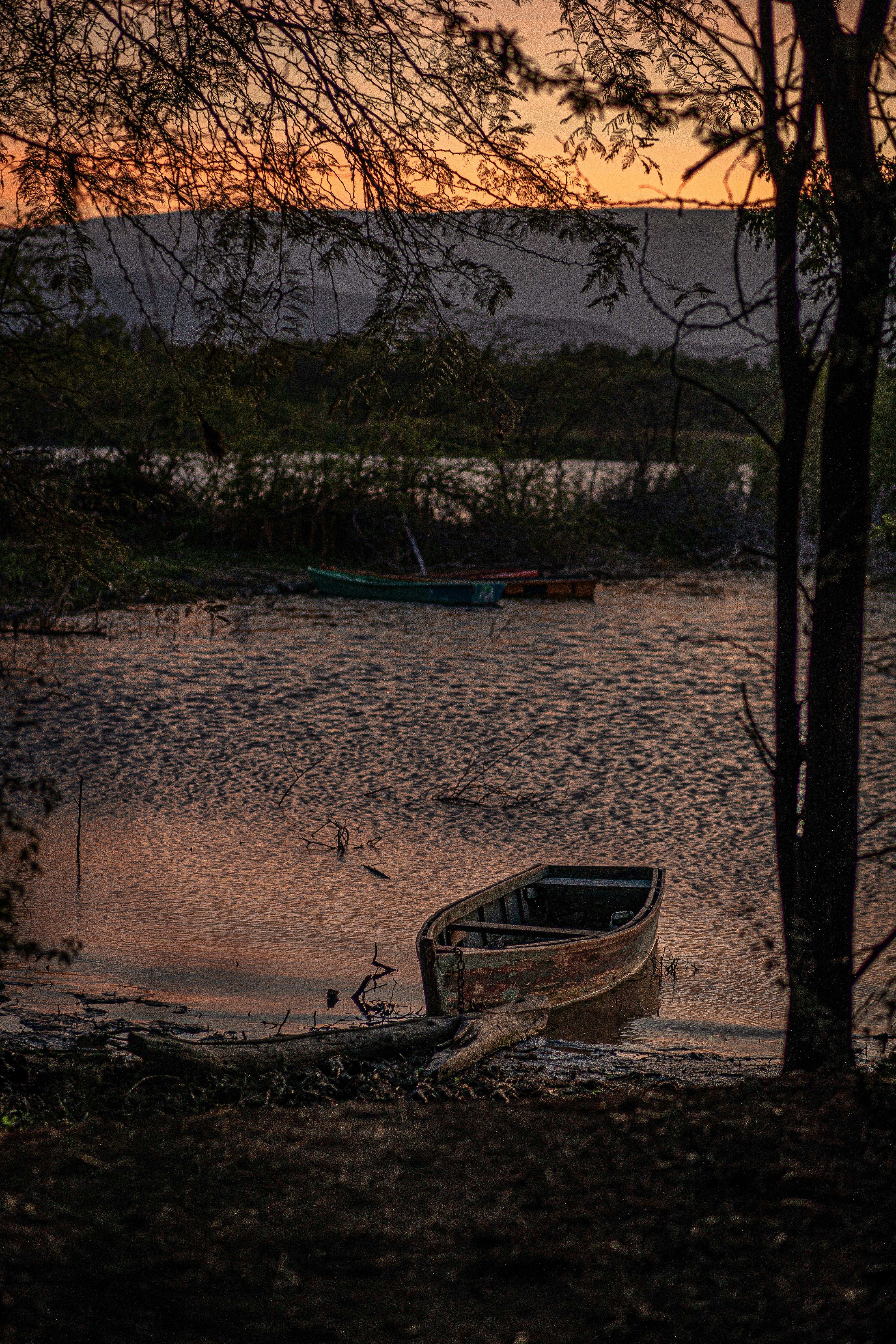 A boat sitting on top of a lake next to a forest