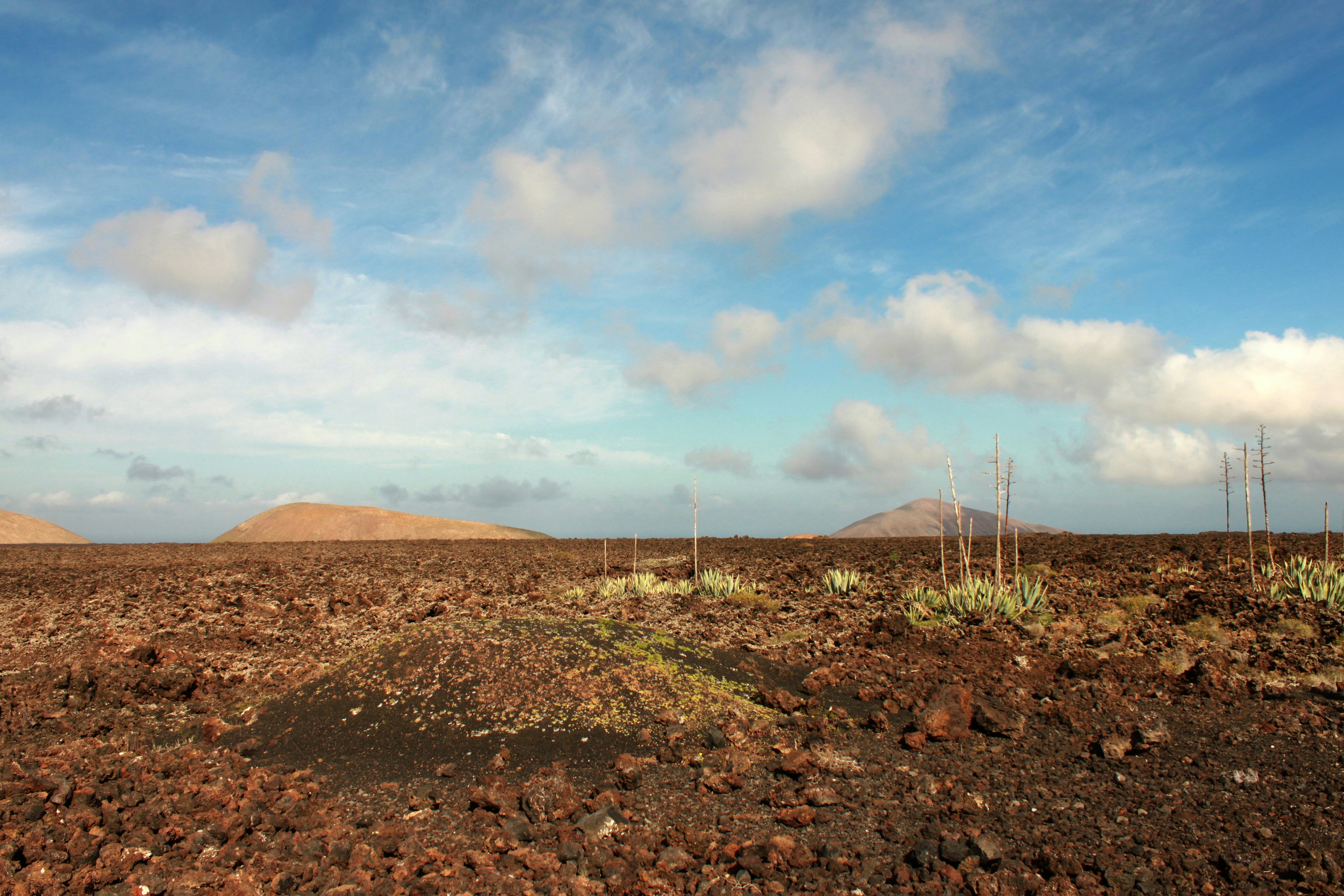 Photo by miguelbaixauli