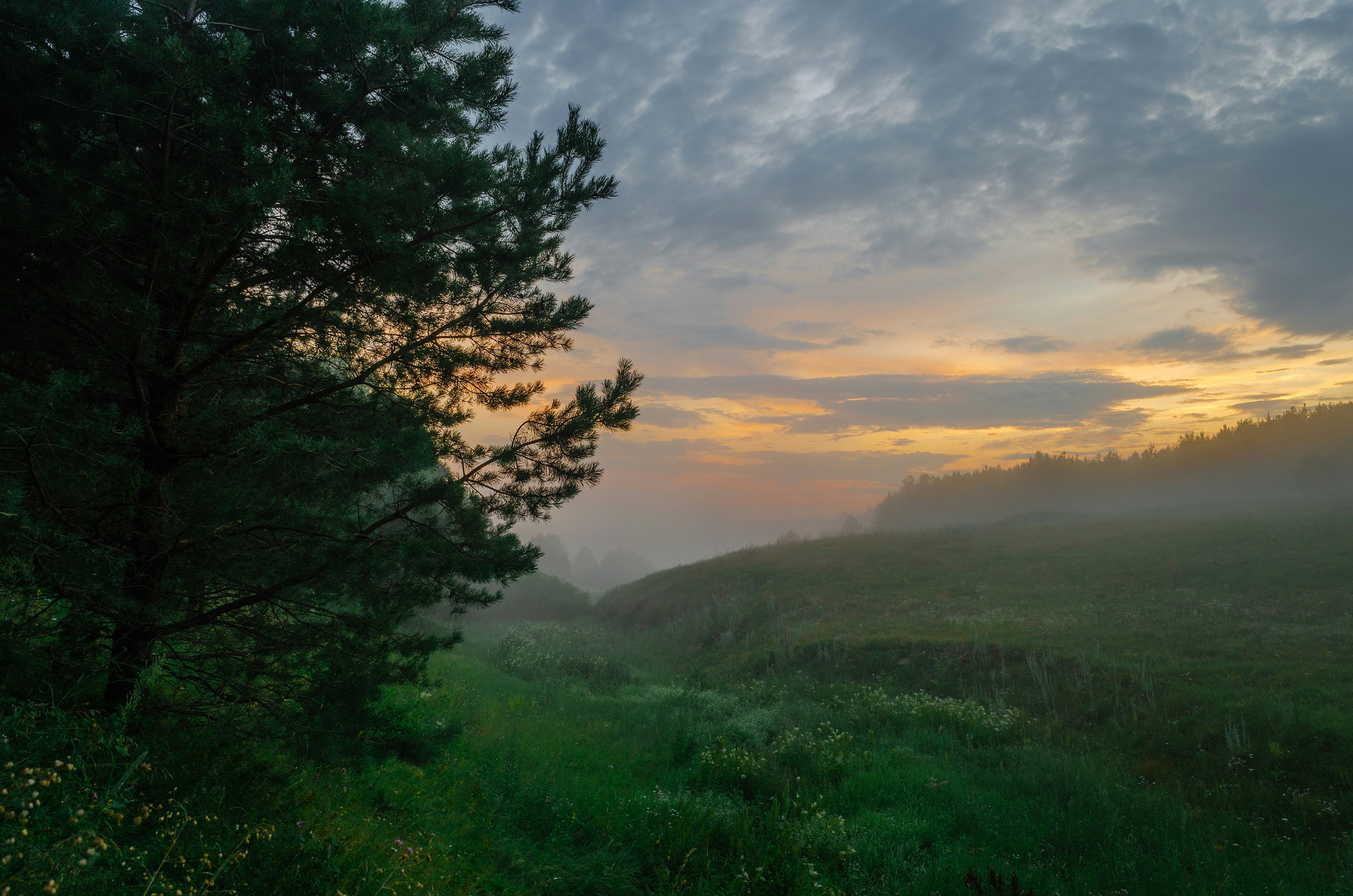 Photo by andrilliardbond