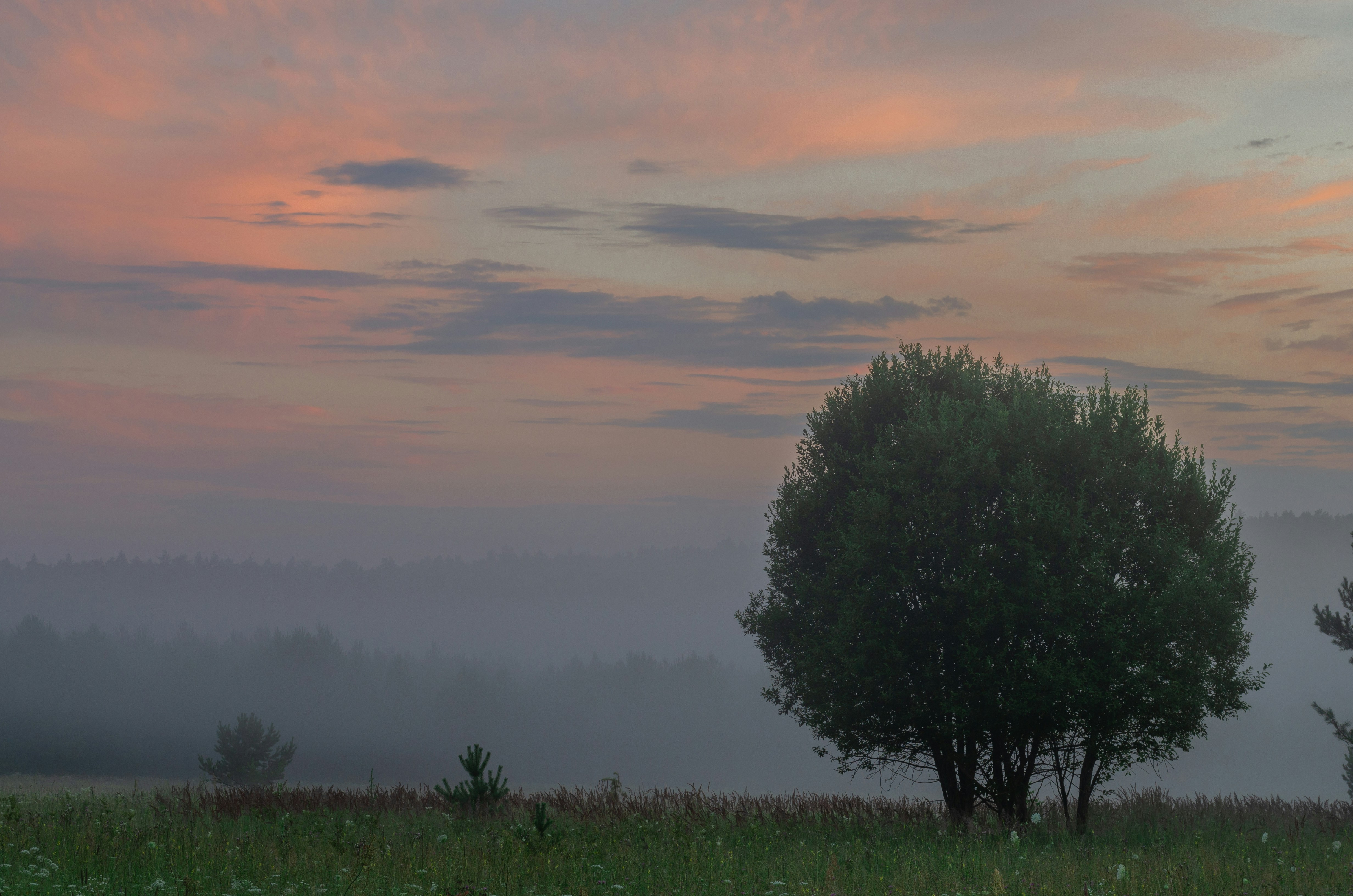 Photo by andrilliardbond