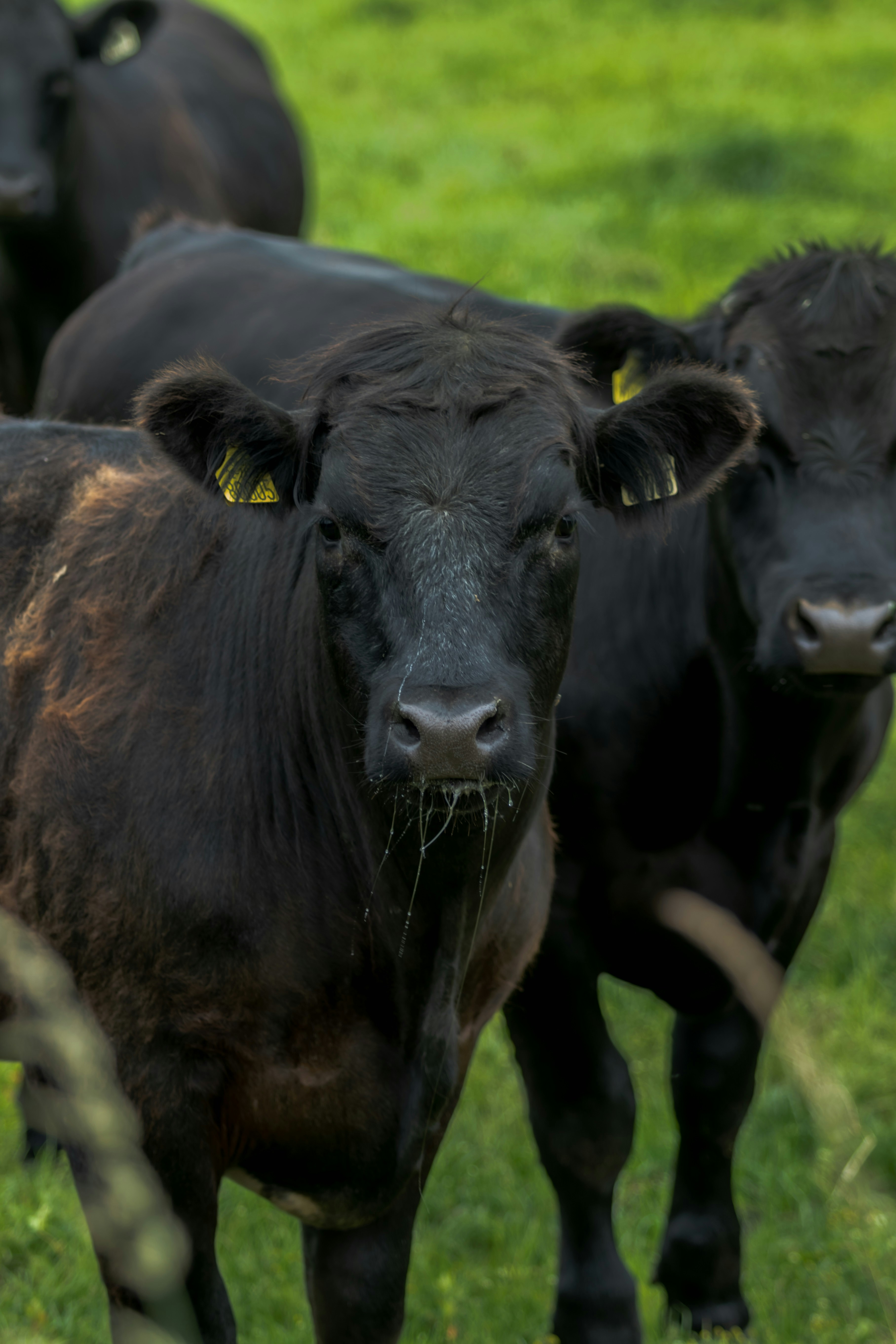 Photo by starkie_pics