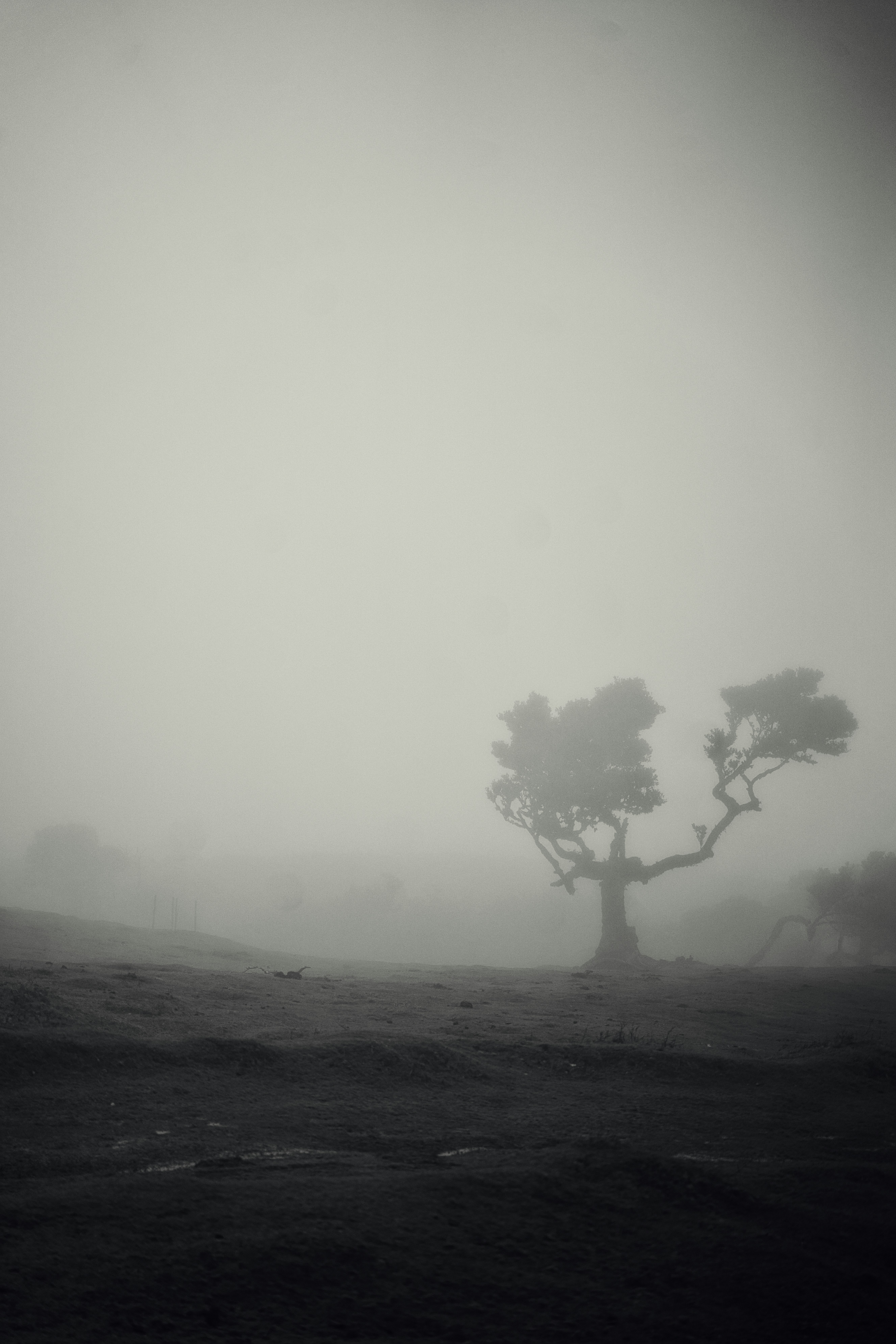 Photo by shottrotter