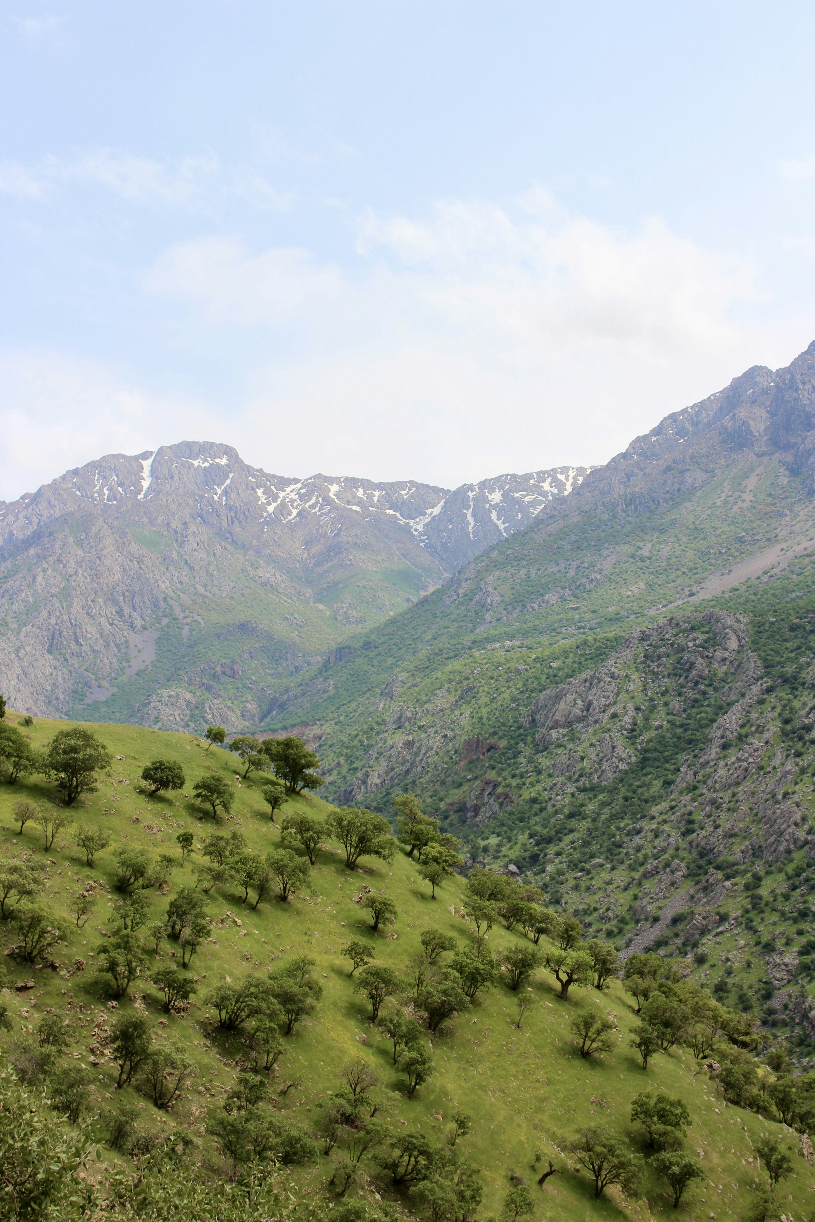 Photo by shimabadakhshan