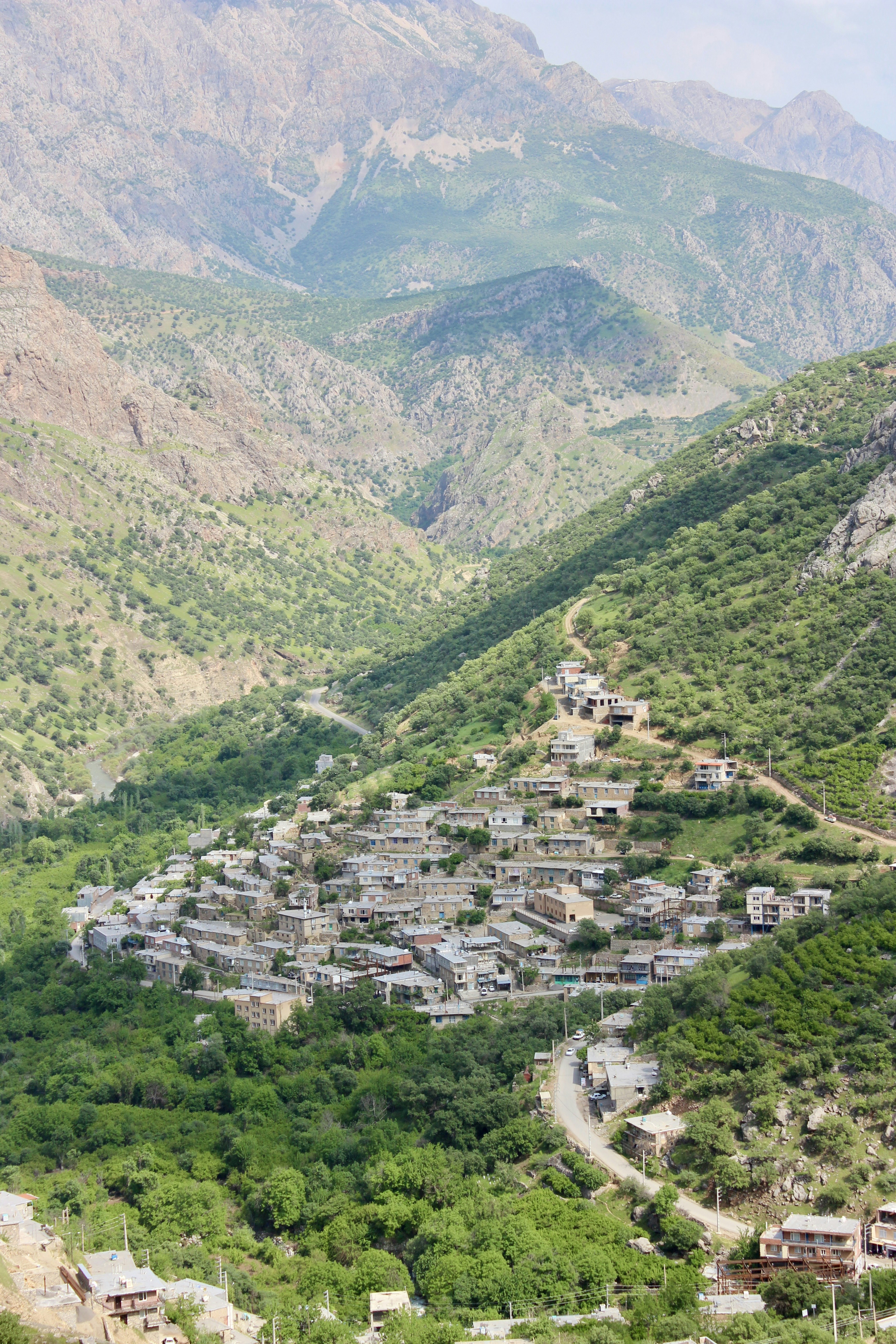 Photo by shimabadakhshan