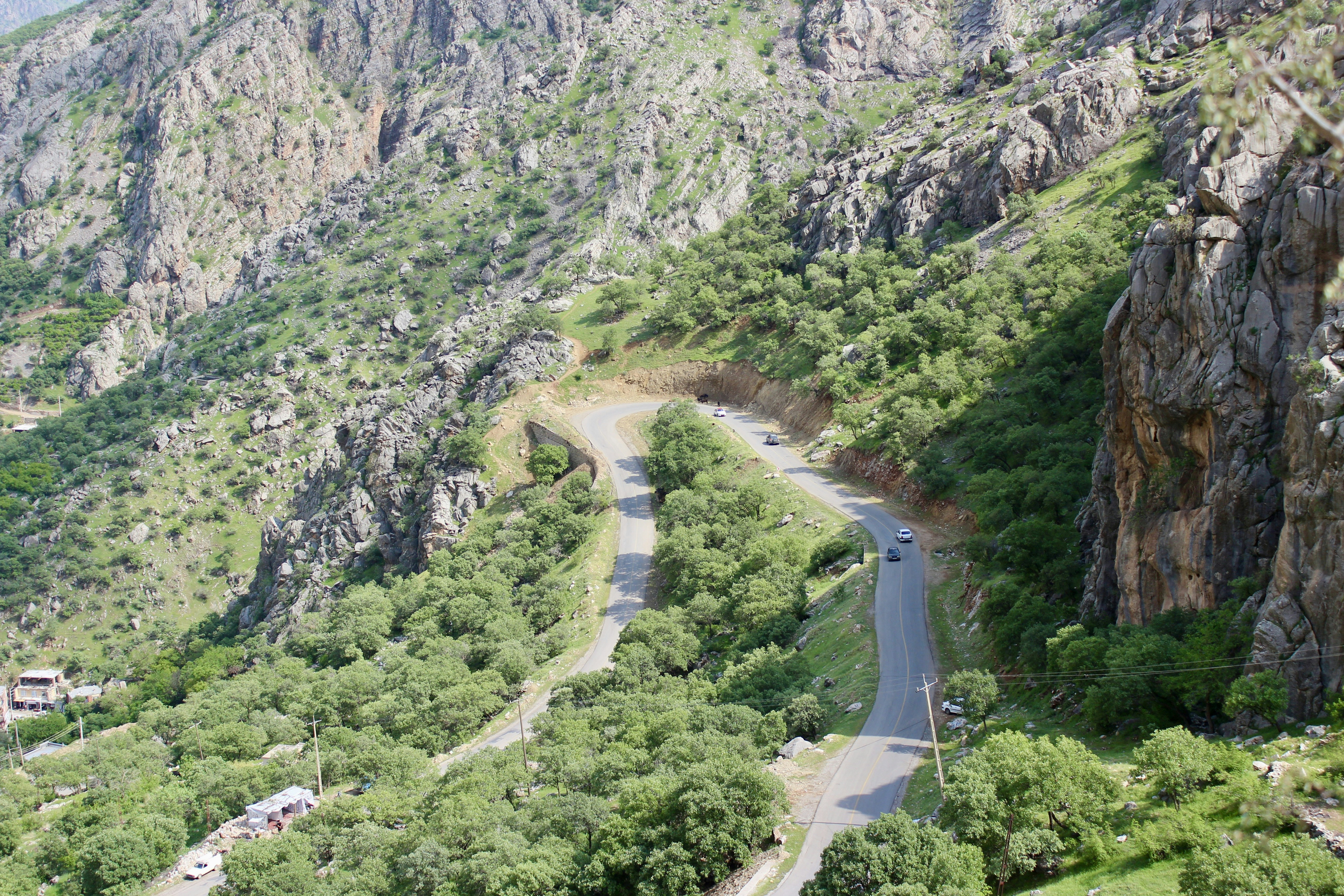 Photo by shimabadakhshan