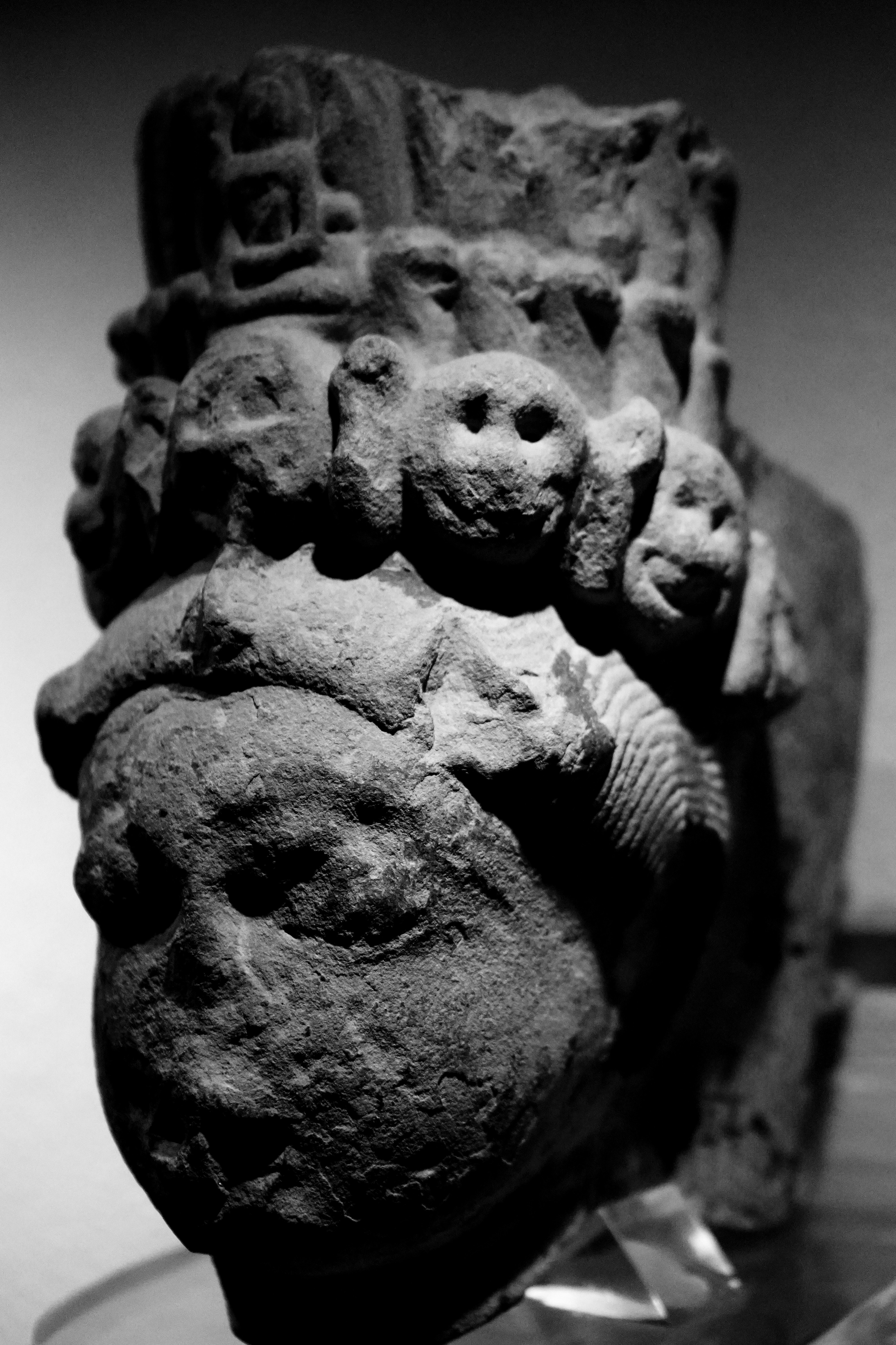 Photo by rudrendu_sharma