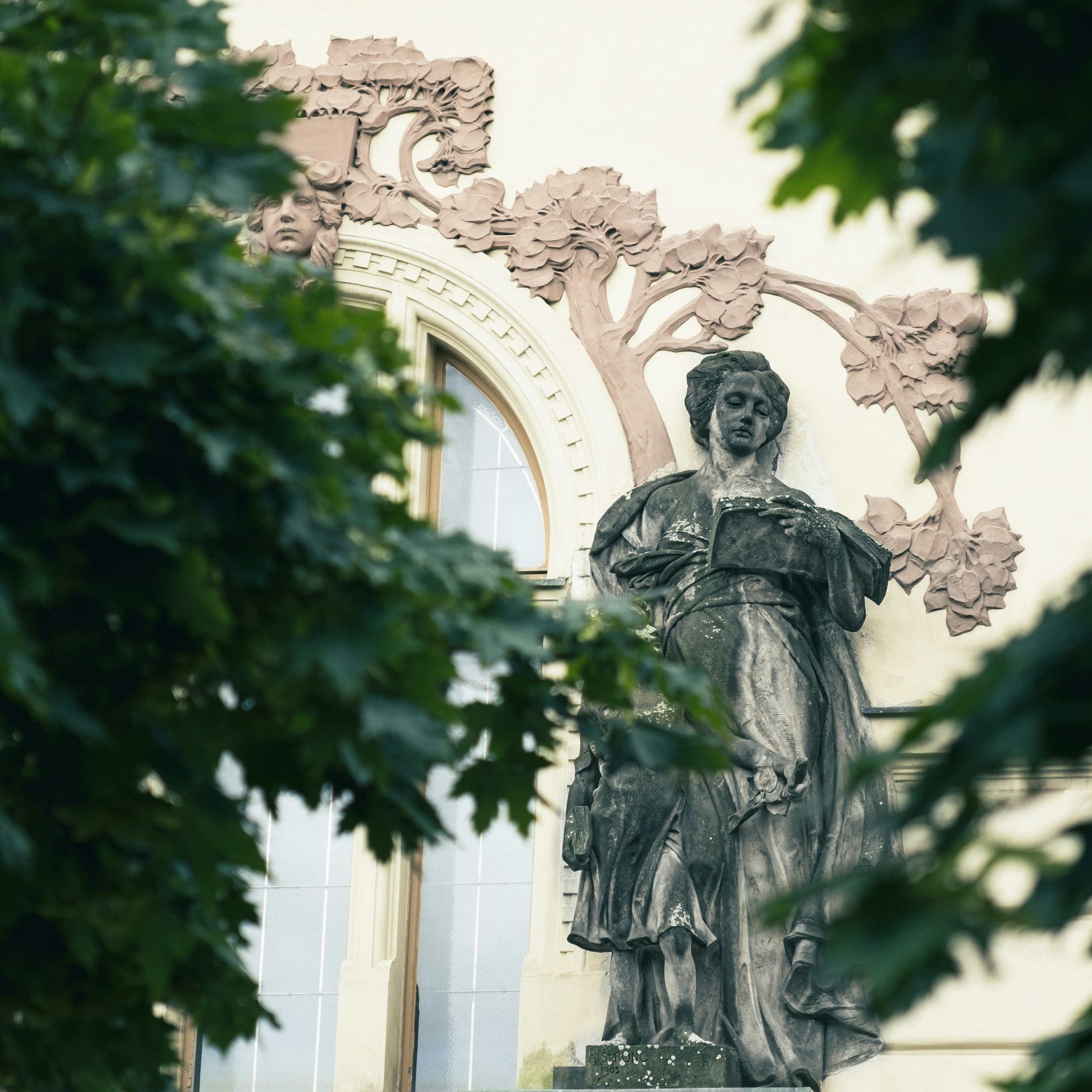 Photo by mikhail_mamaev