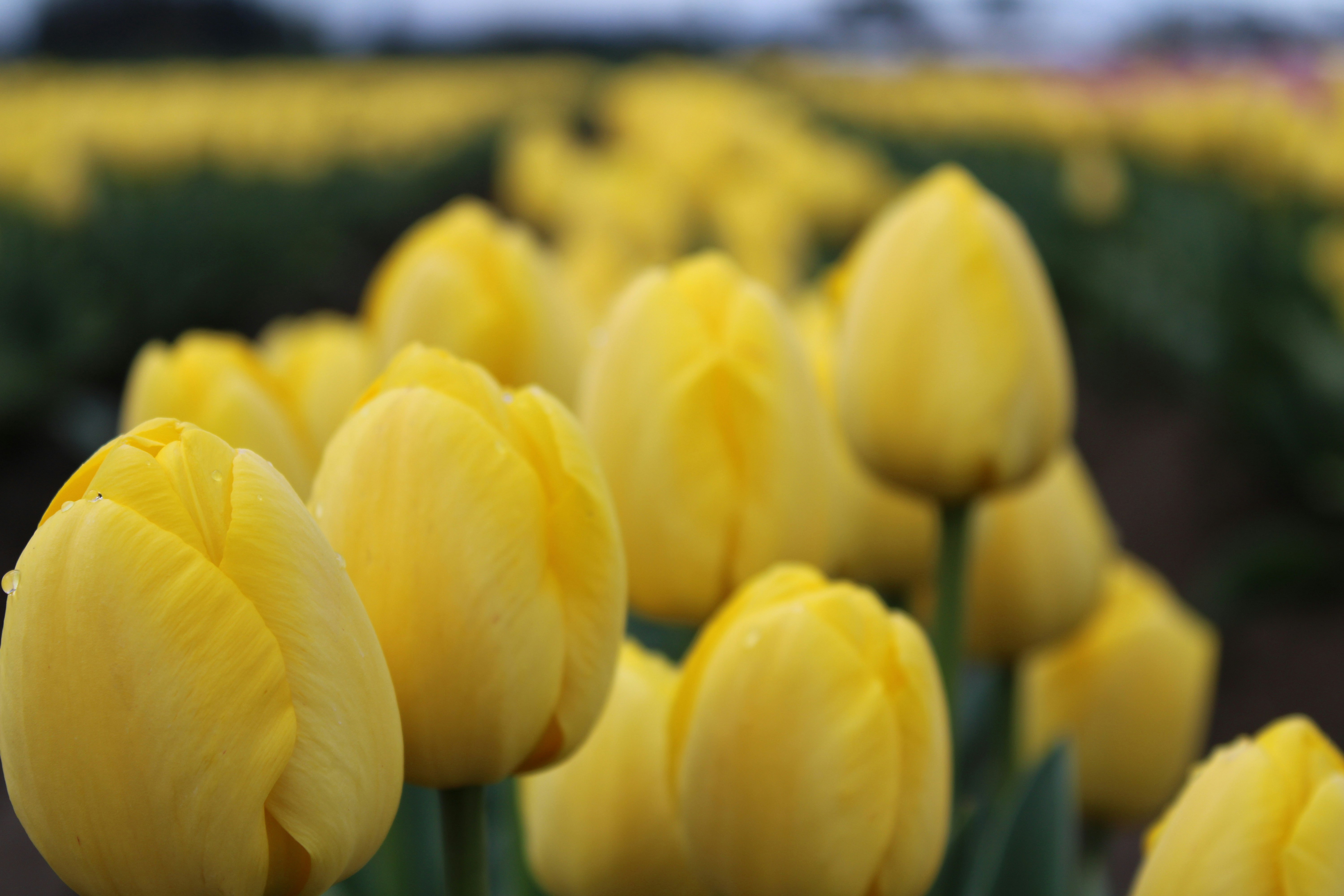 Photo by joleajouneys521