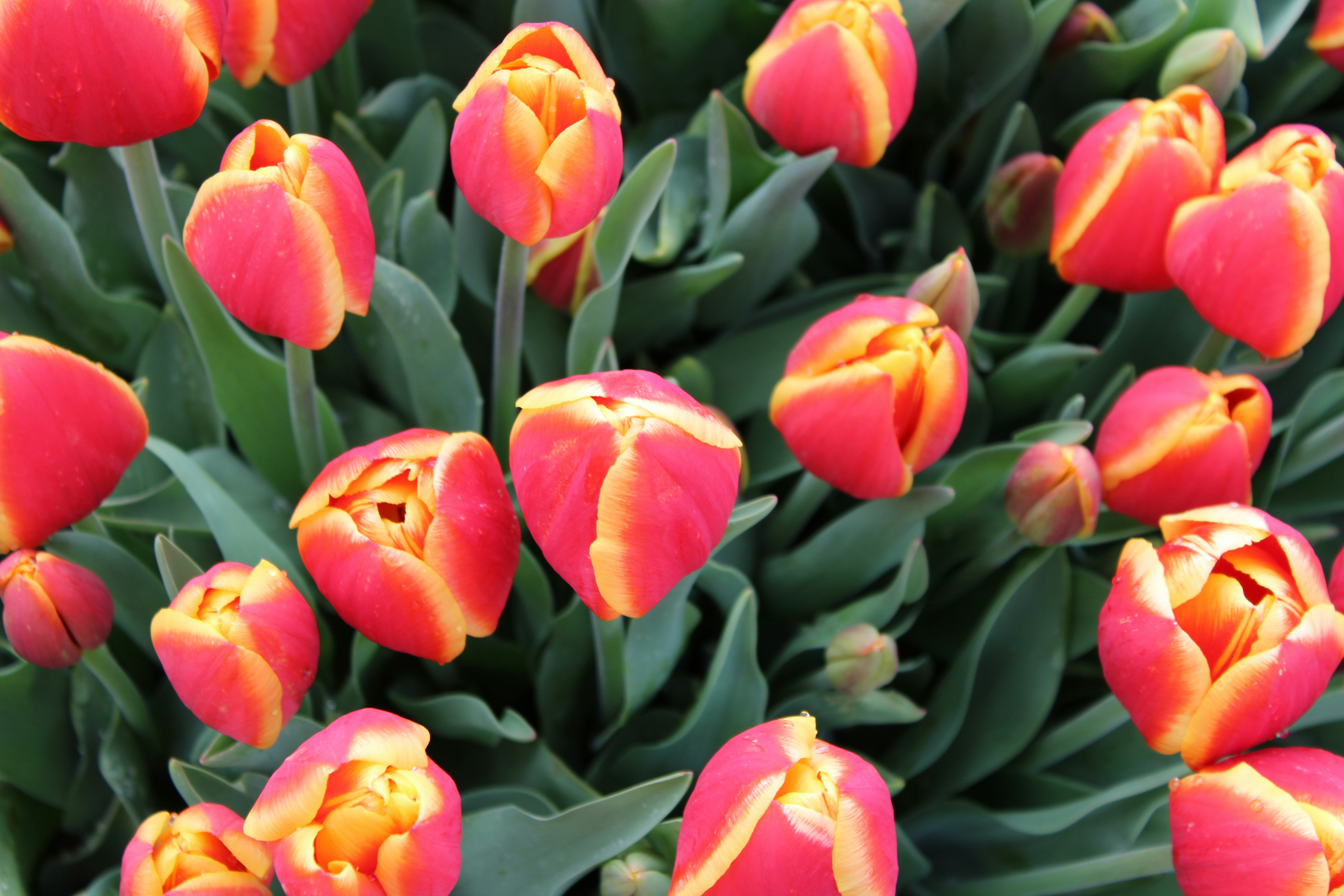 Photo by joleajouneys521