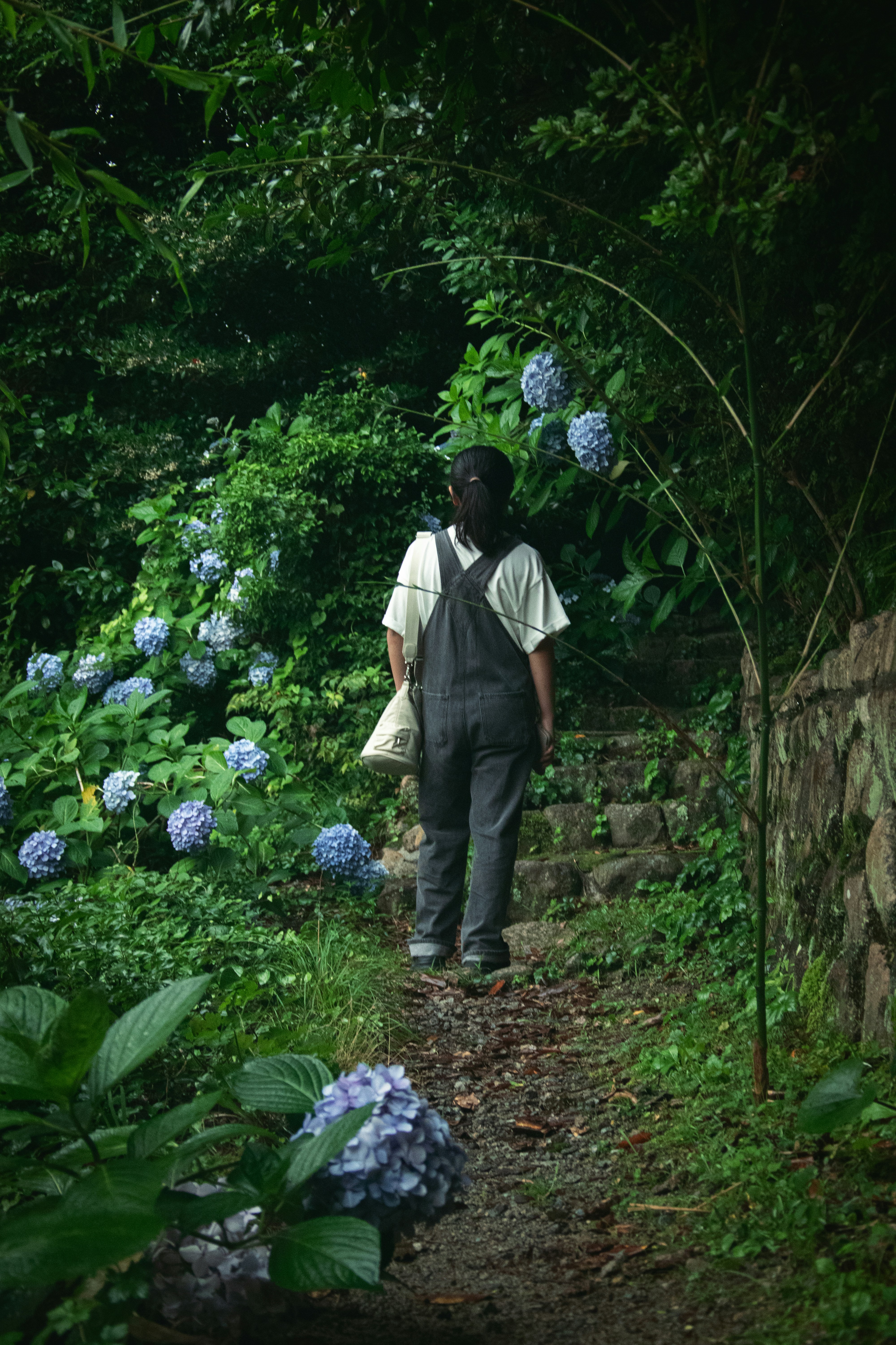 Un hombre caminando por un sendero en el bosque