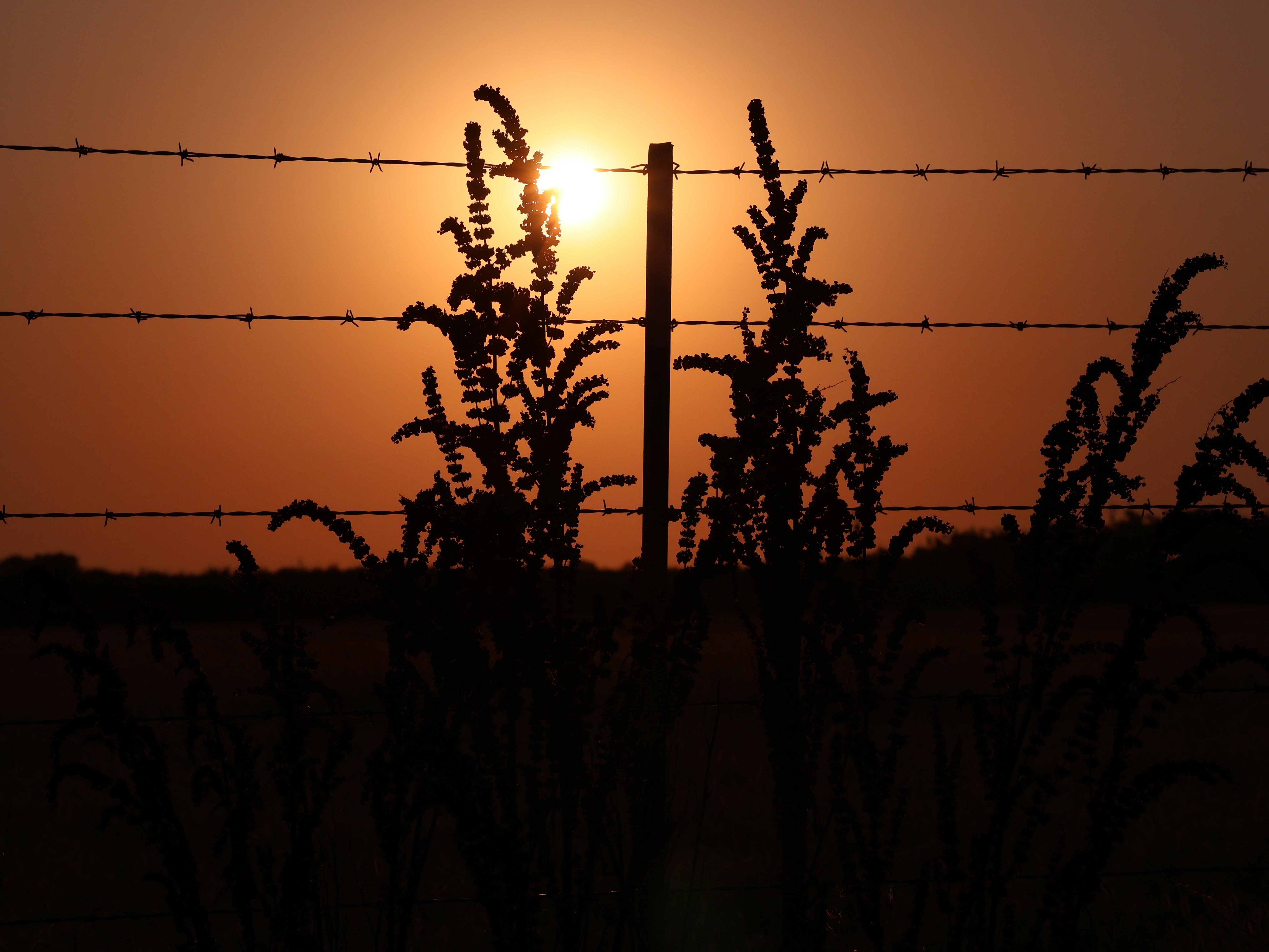 The sun is setting behind a barbed wire fence
