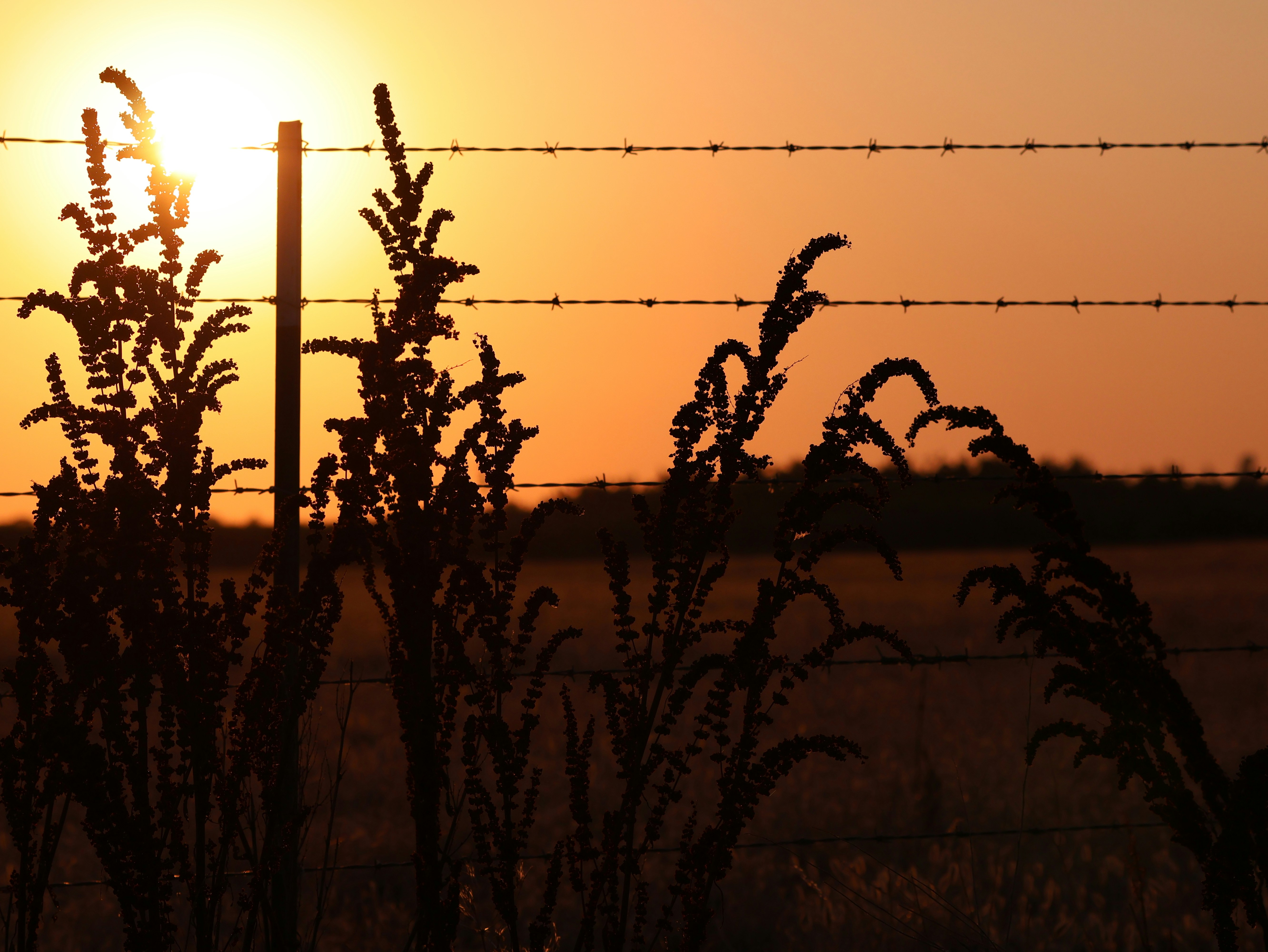 The sun is setting behind a barbed wire fence