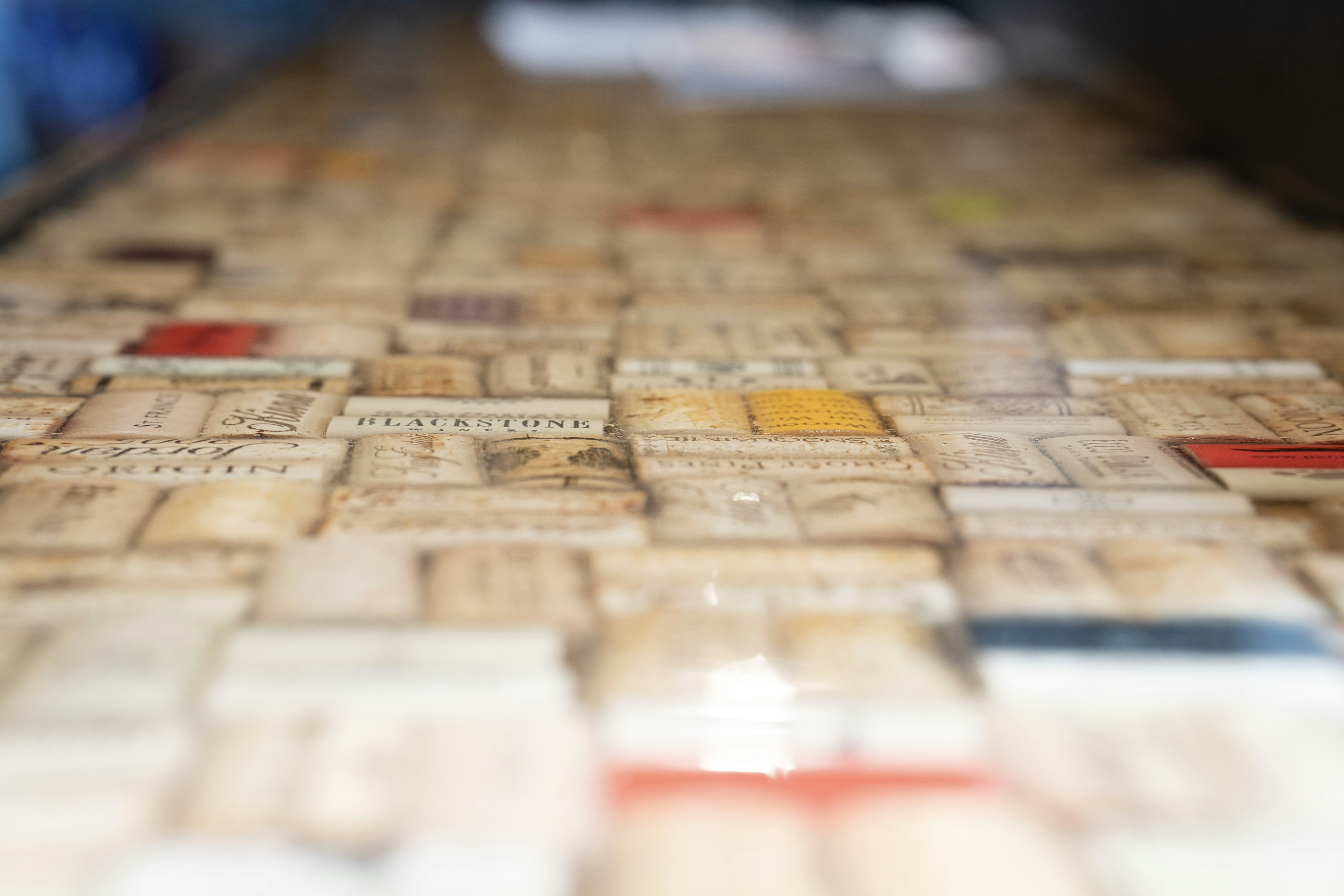 Photo by mharrisonphotography