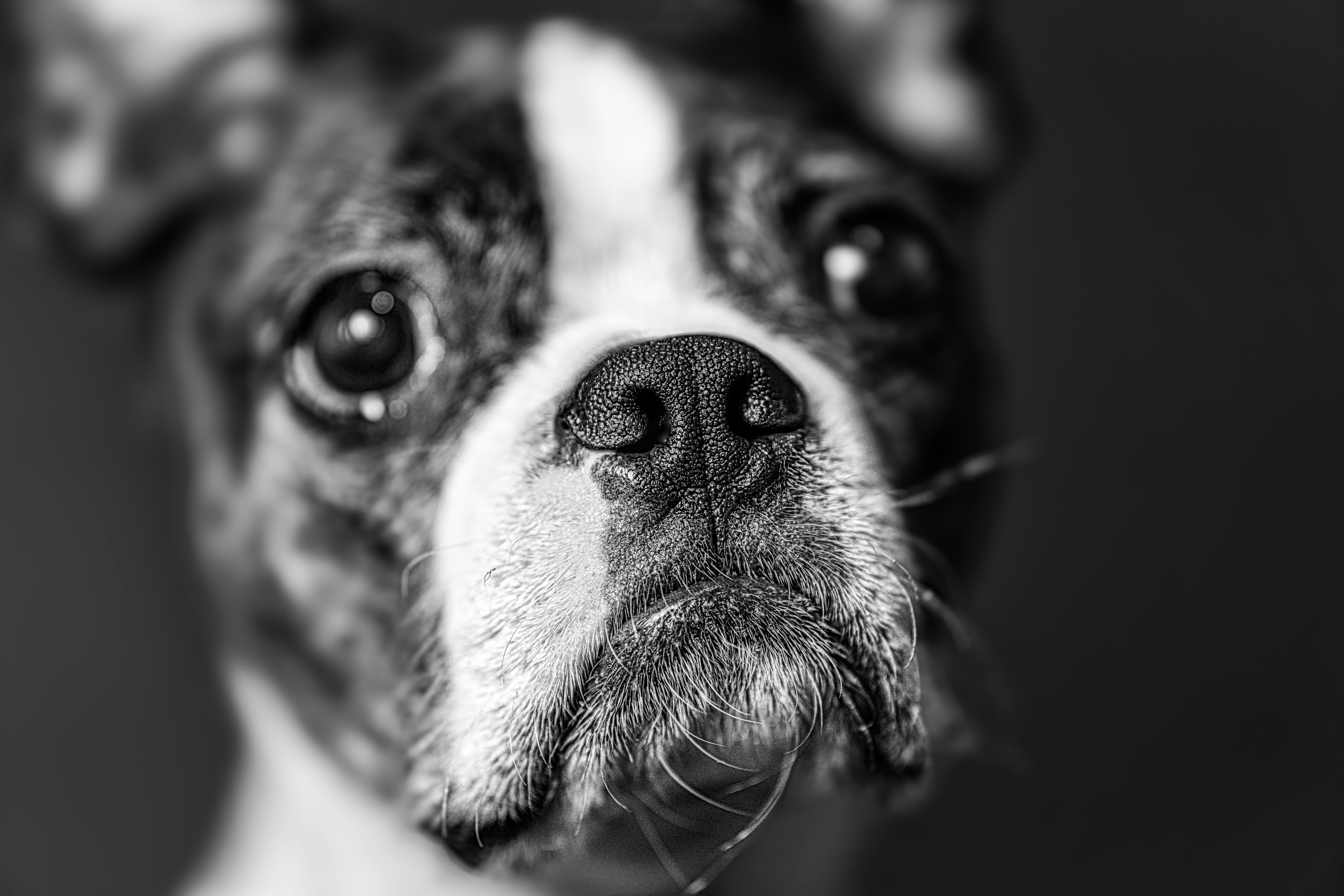 Photo by mharrisonphotography