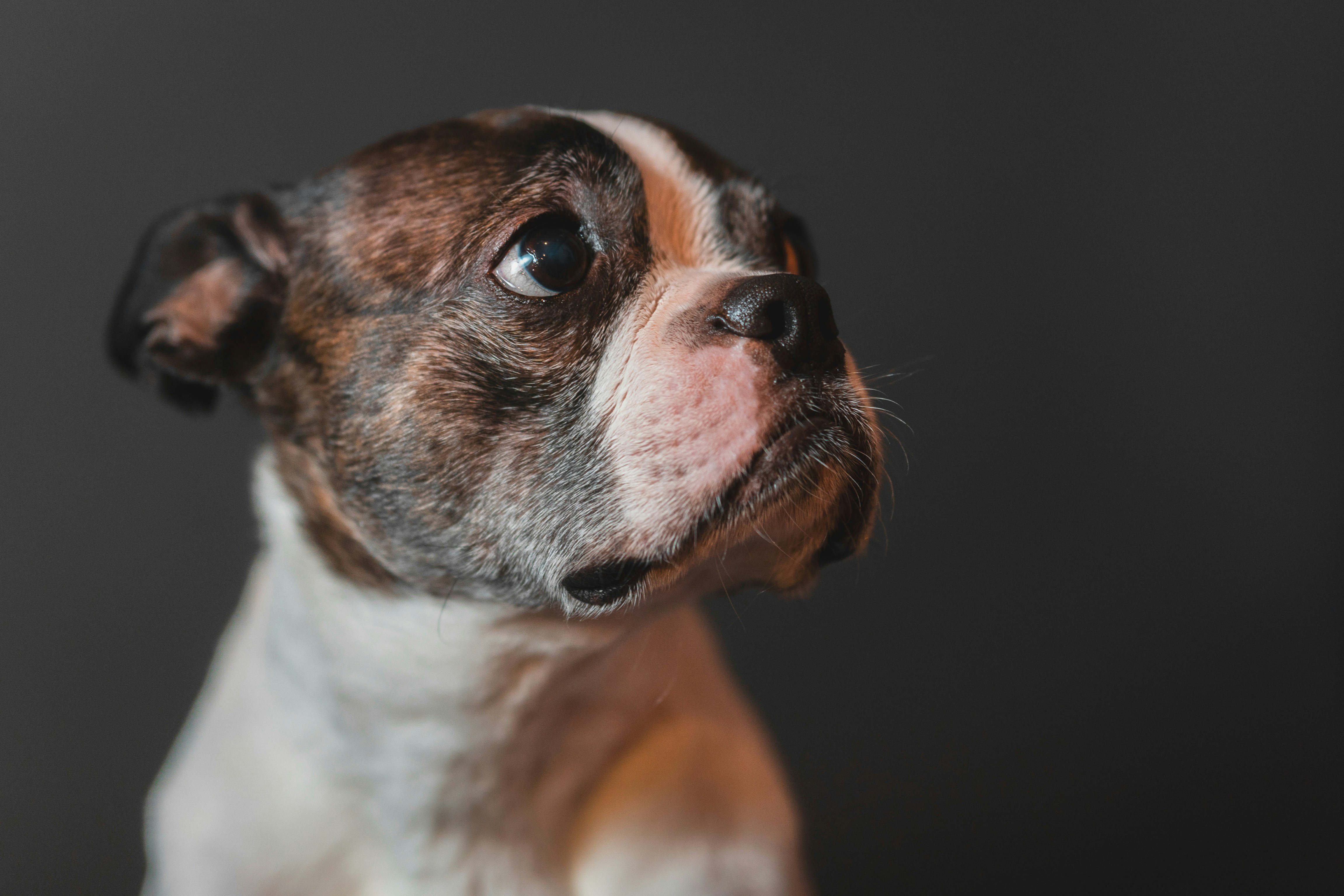 Photo by mharrisonphotography