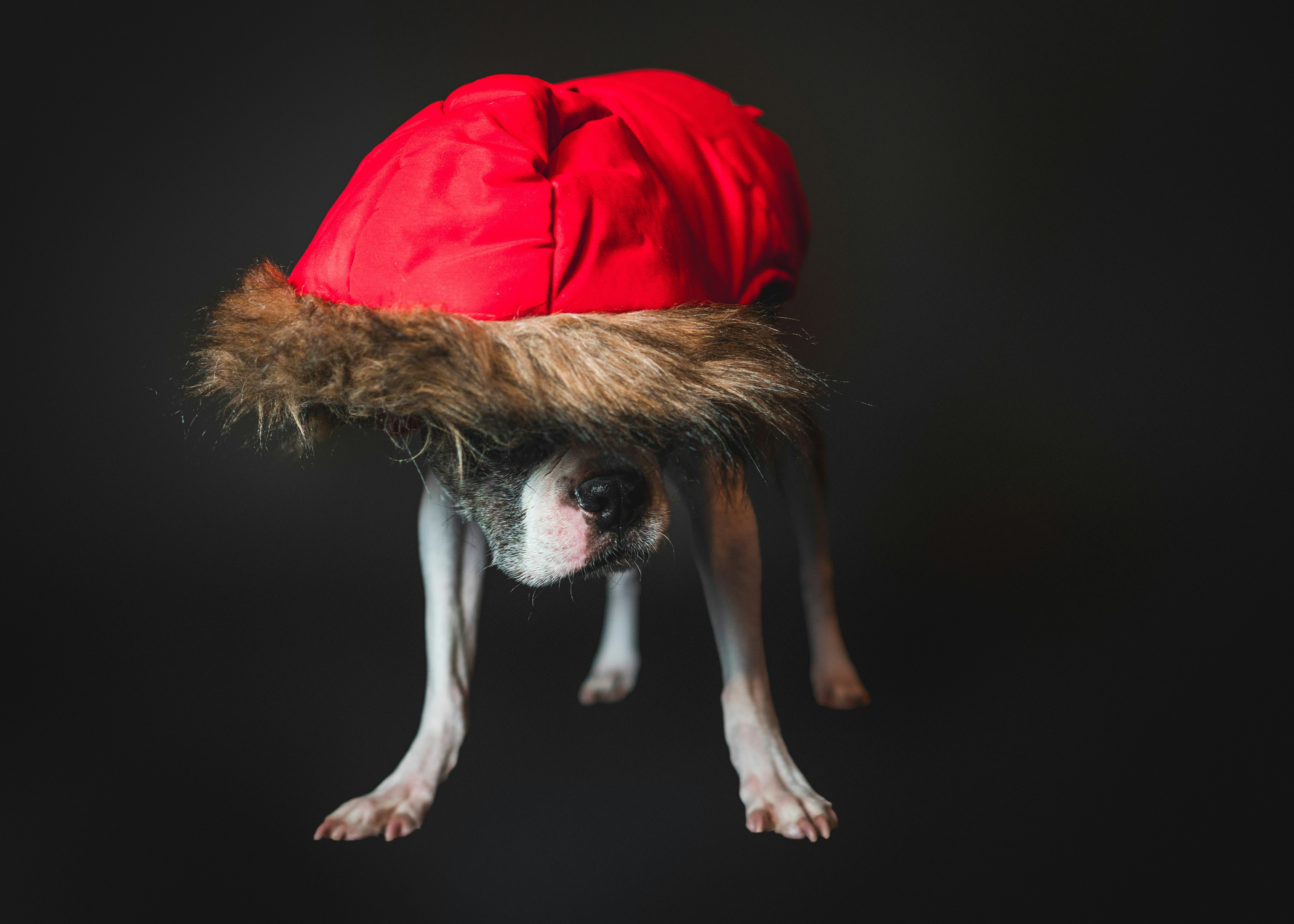 Photo by mharrisonphotography