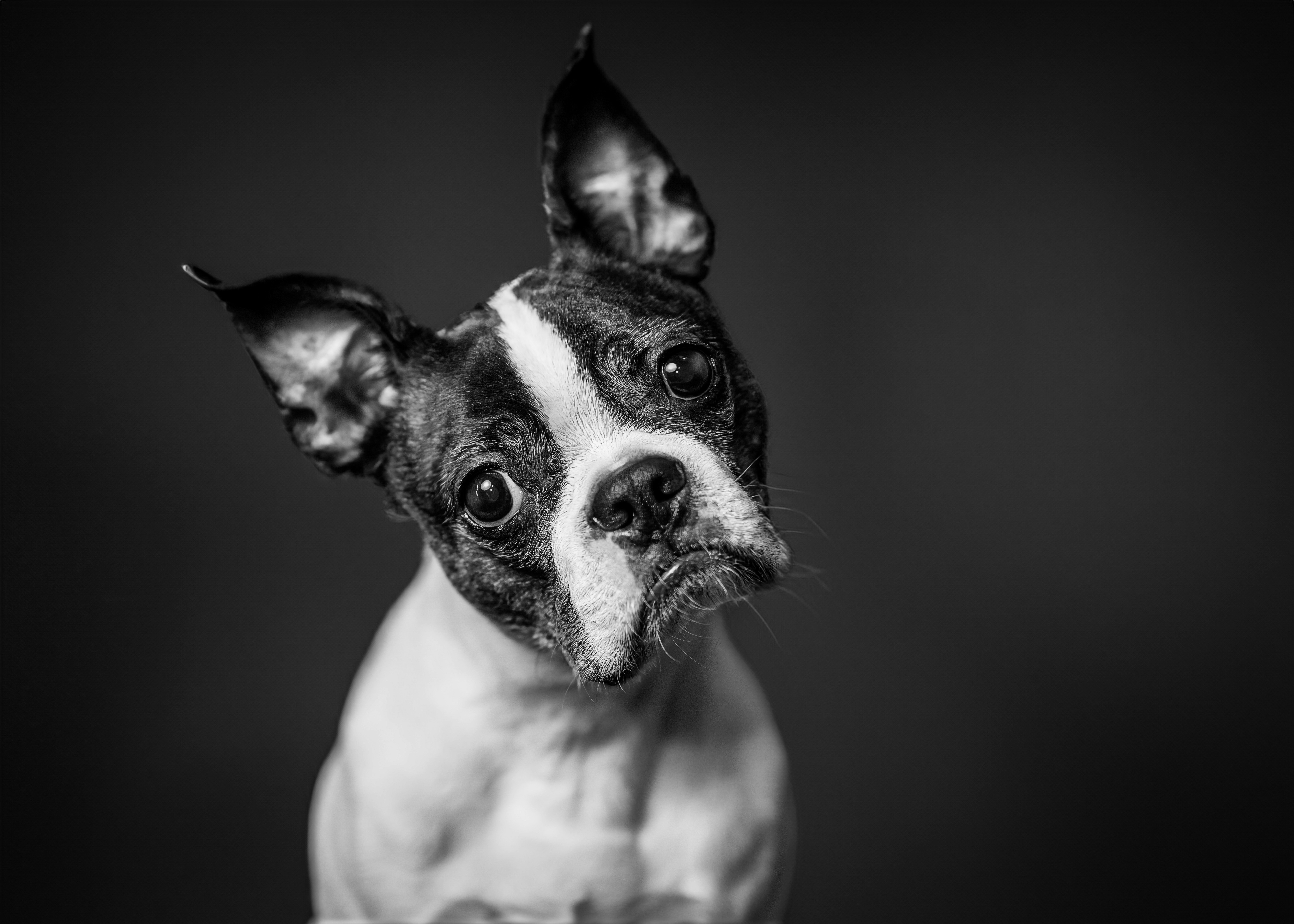 Photo by mharrisonphotography