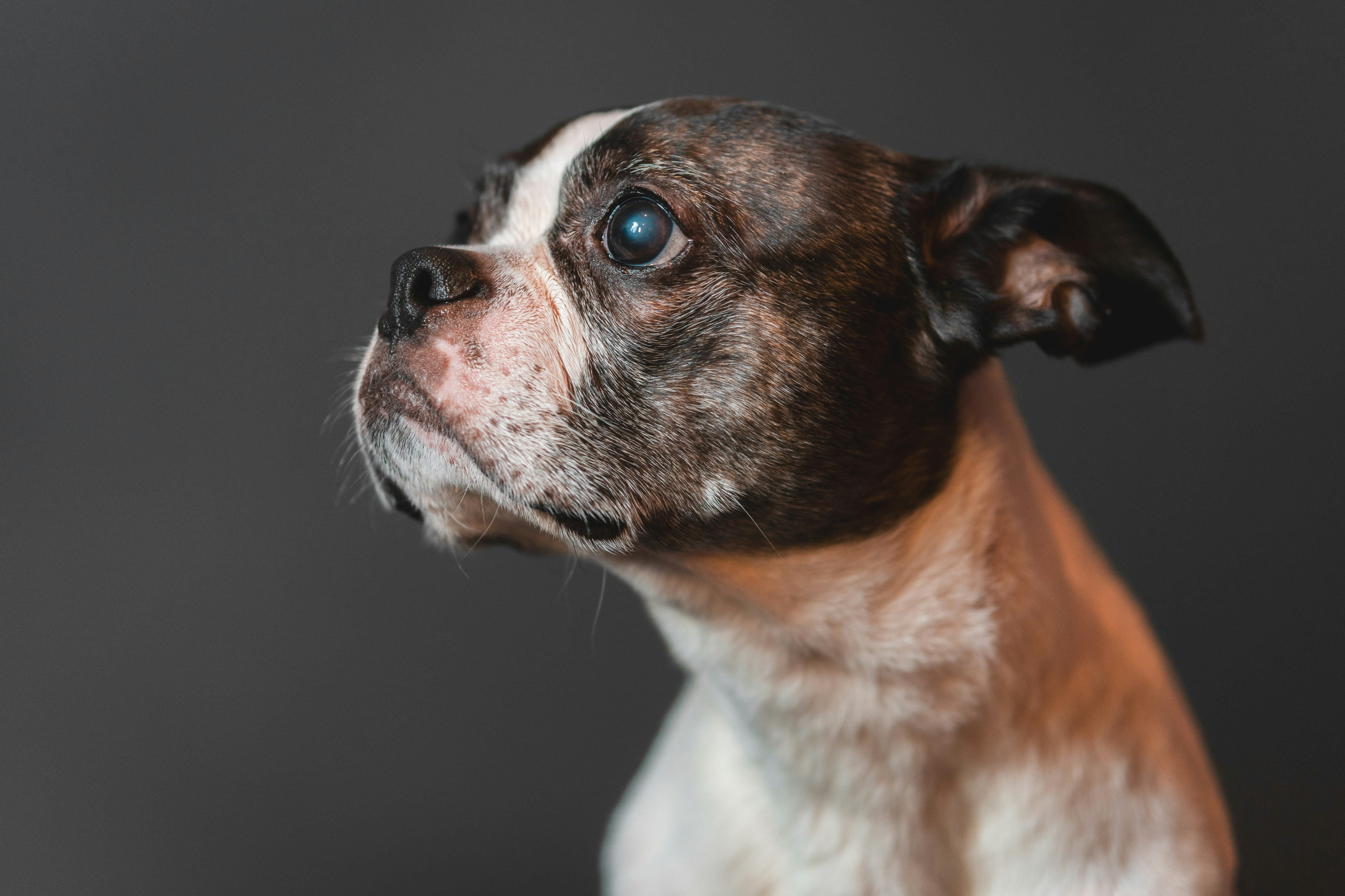 Photo by mharrisonphotography