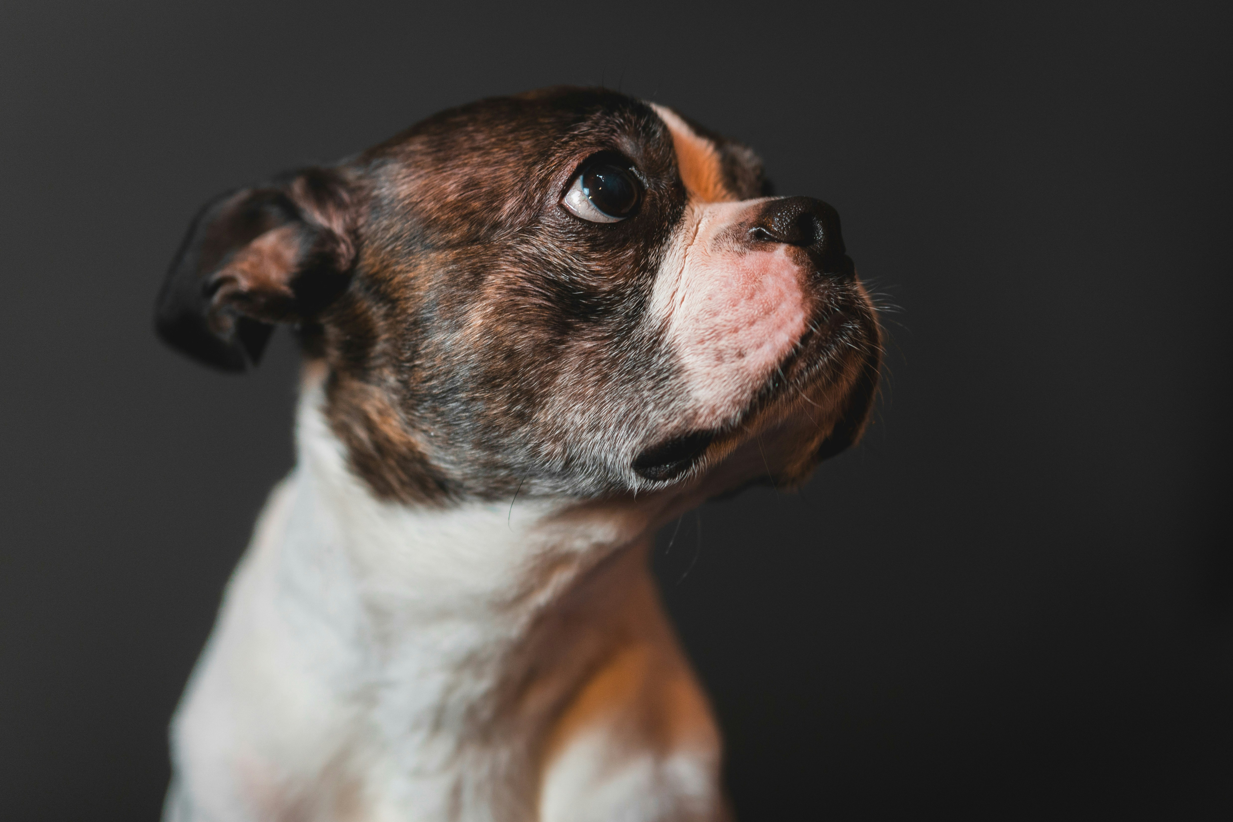 Photo by mharrisonphotography