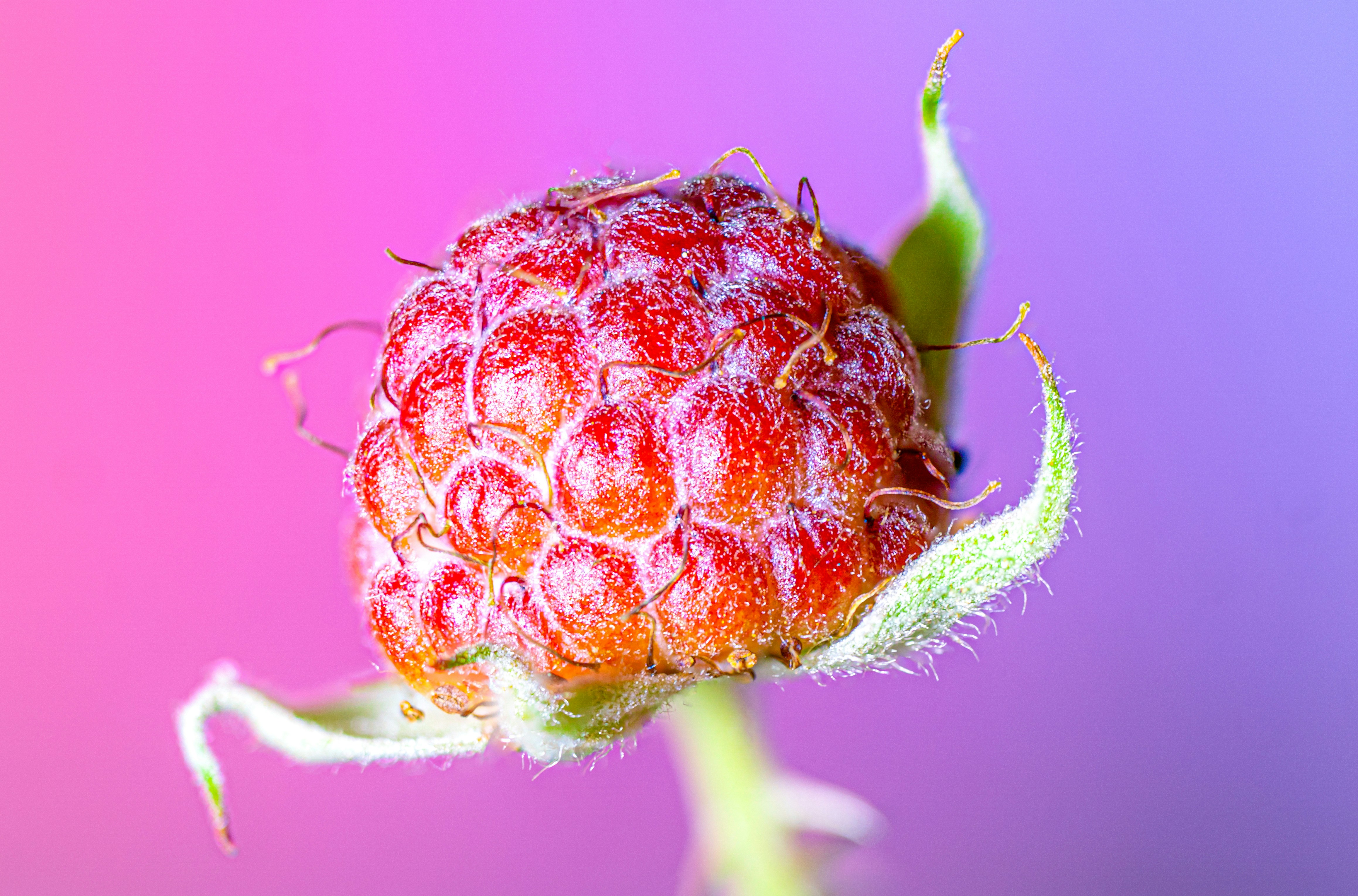 PacBio Supports Berry Genomics in Achieving First Regulatory Approval for Clinical Long-Read Sequencing in China