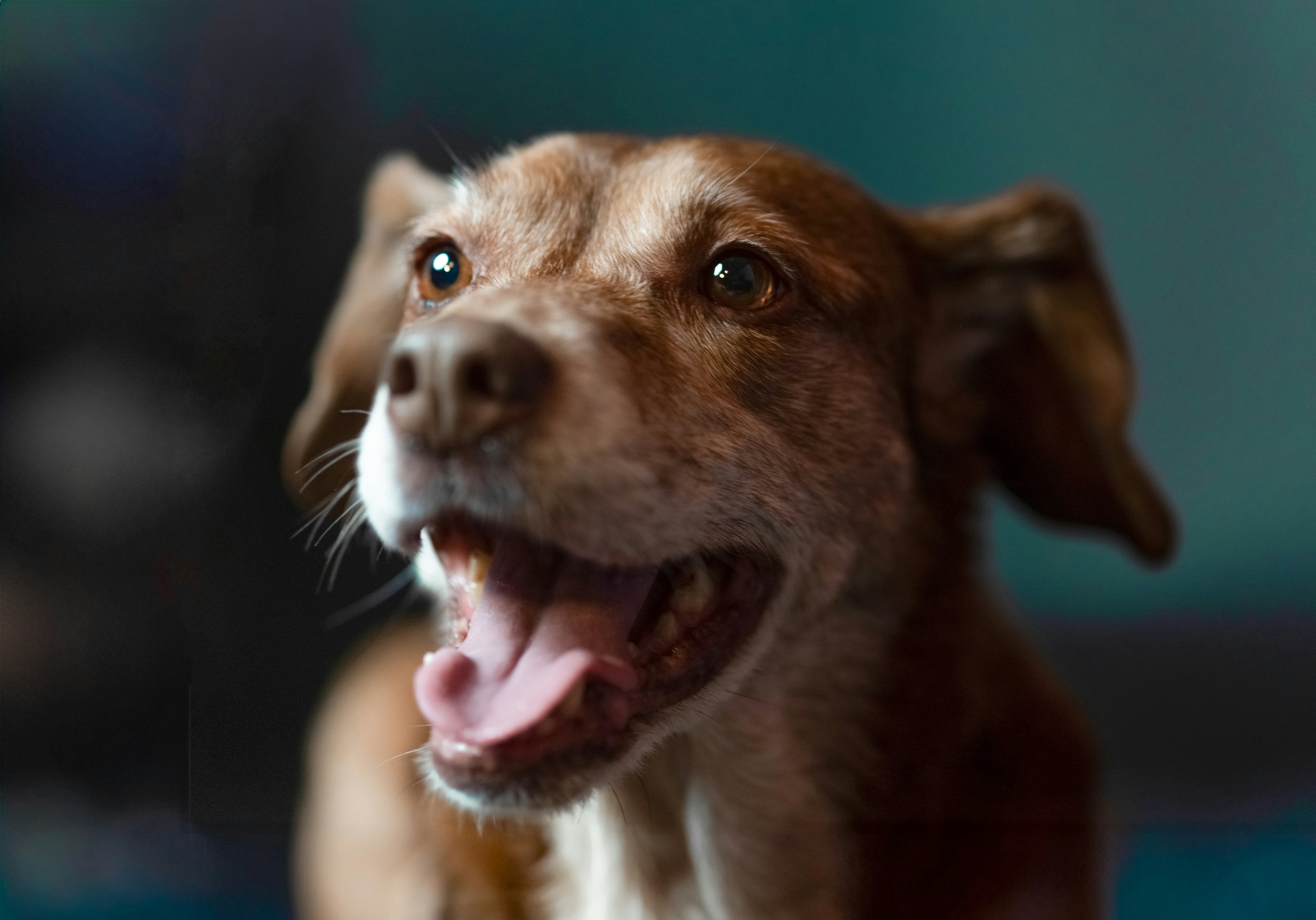 Photo by mharrisonphotography