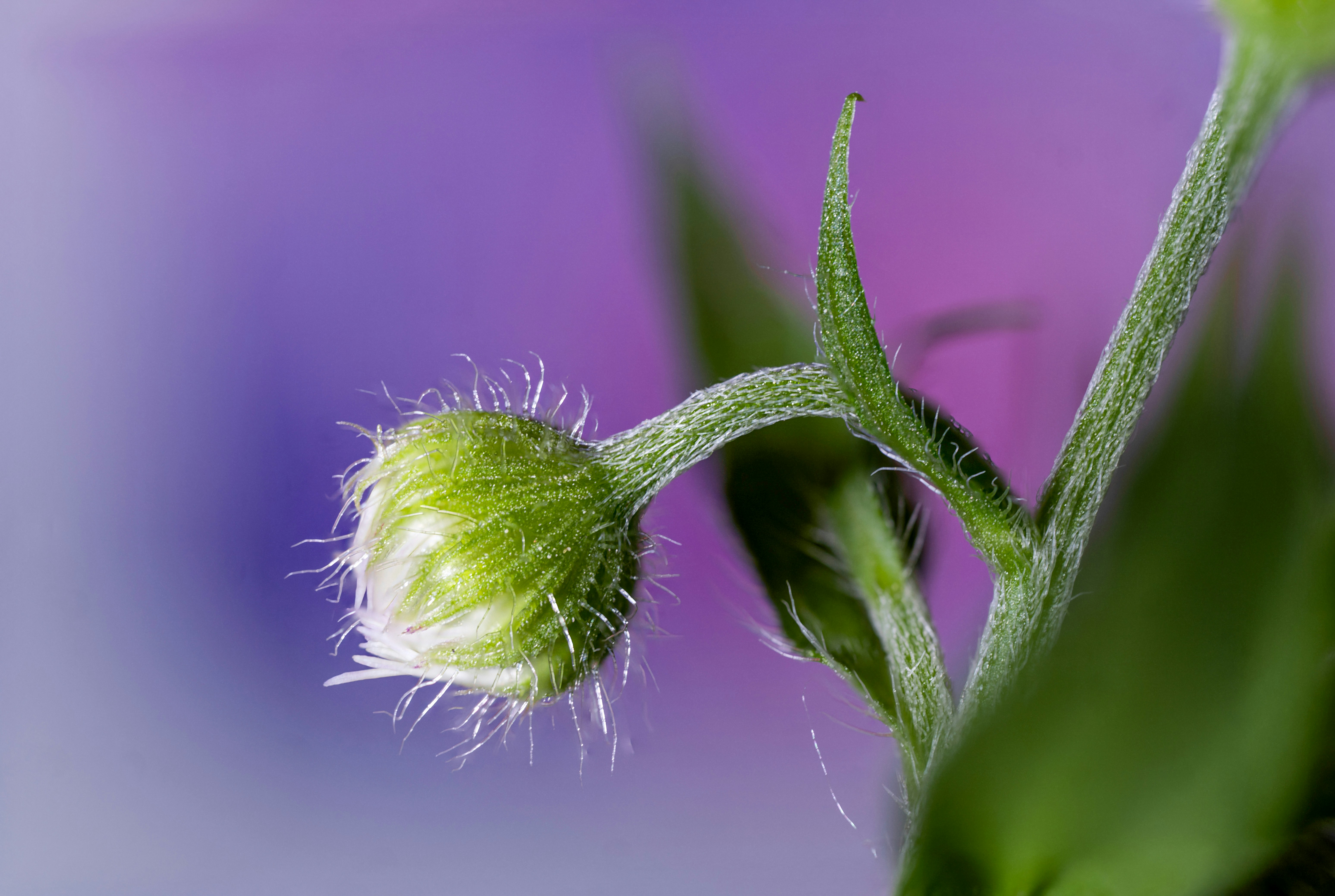 Photo by mharrisonphotography