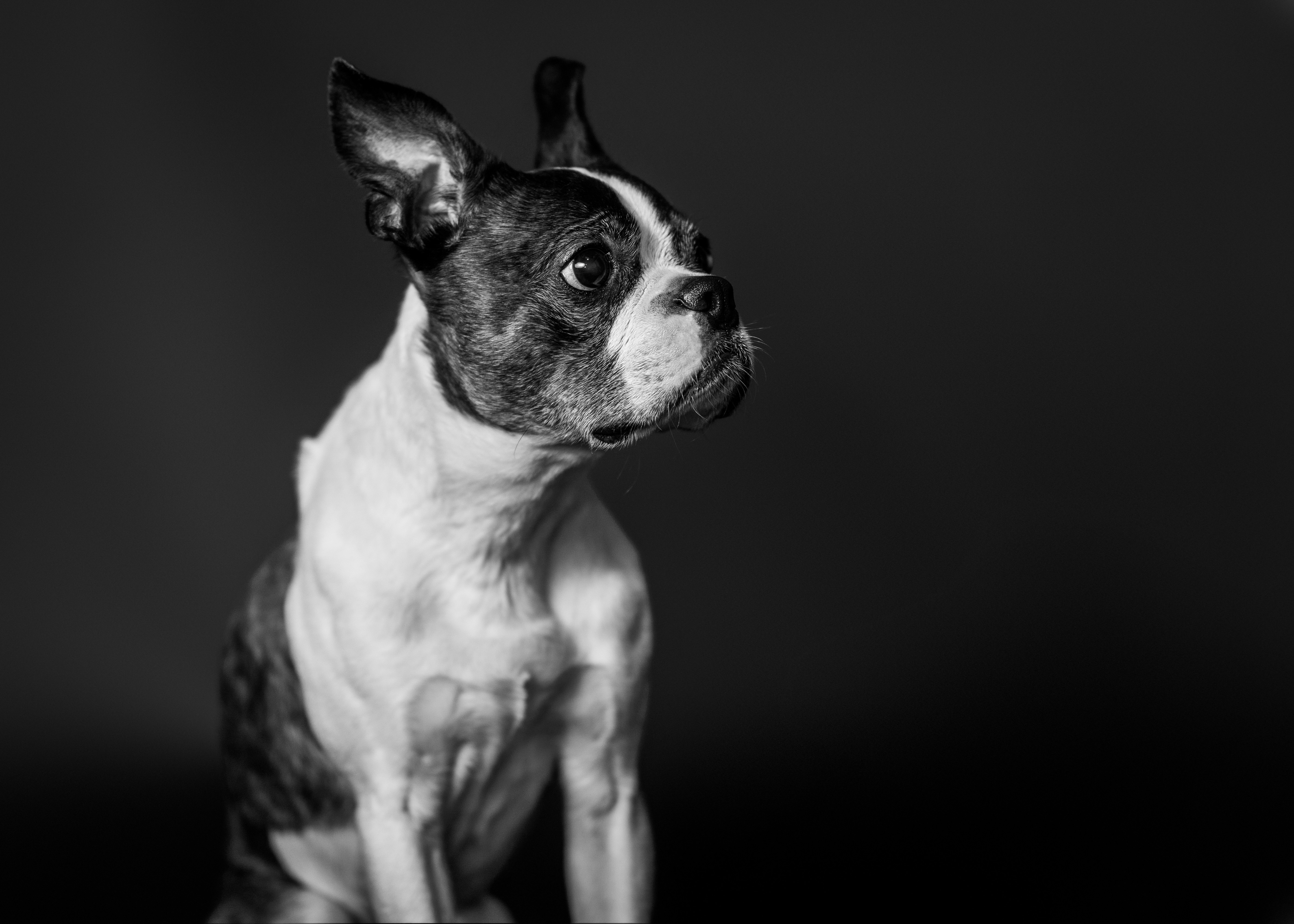 Photo by mharrisonphotography