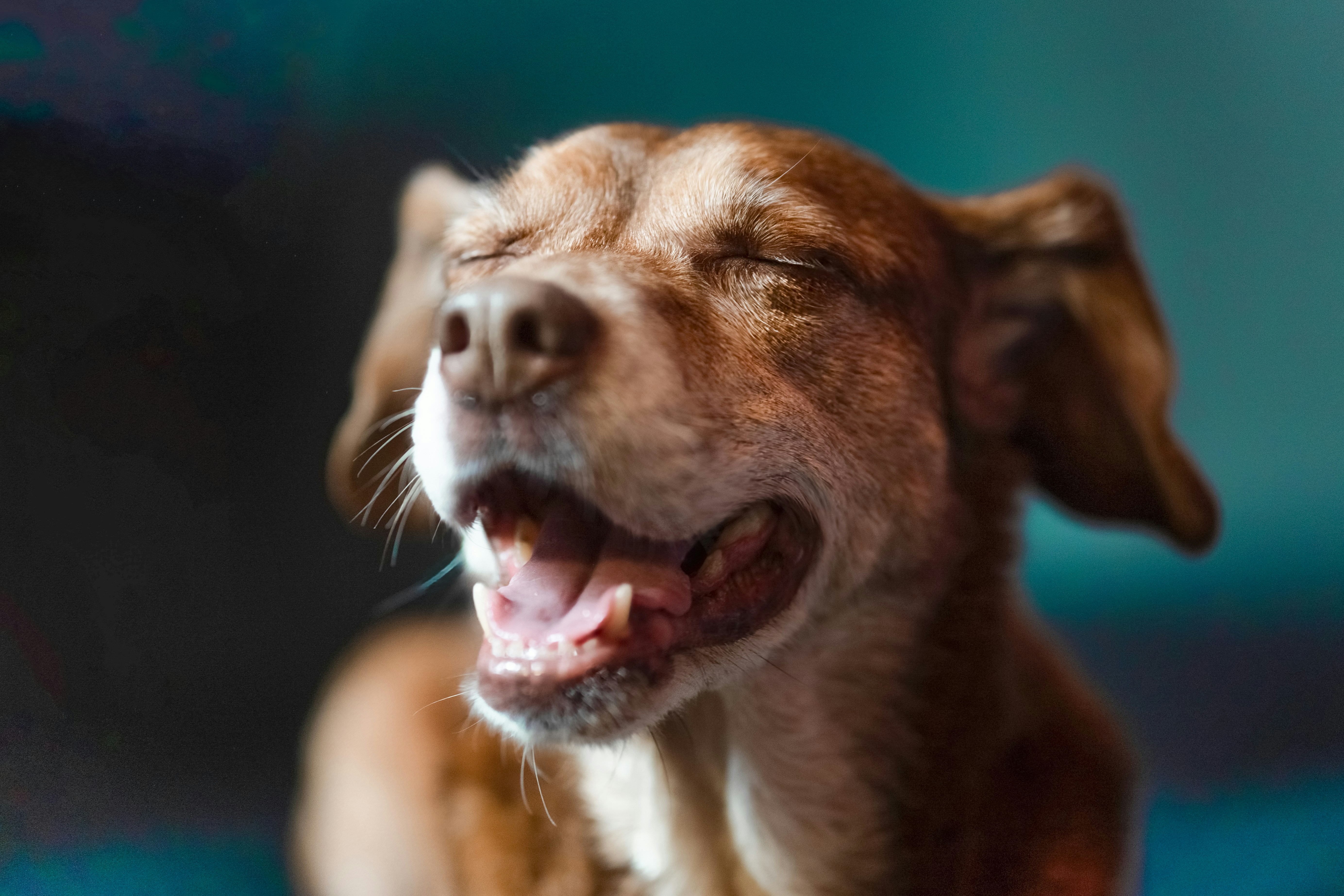 Photo by mharrisonphotography