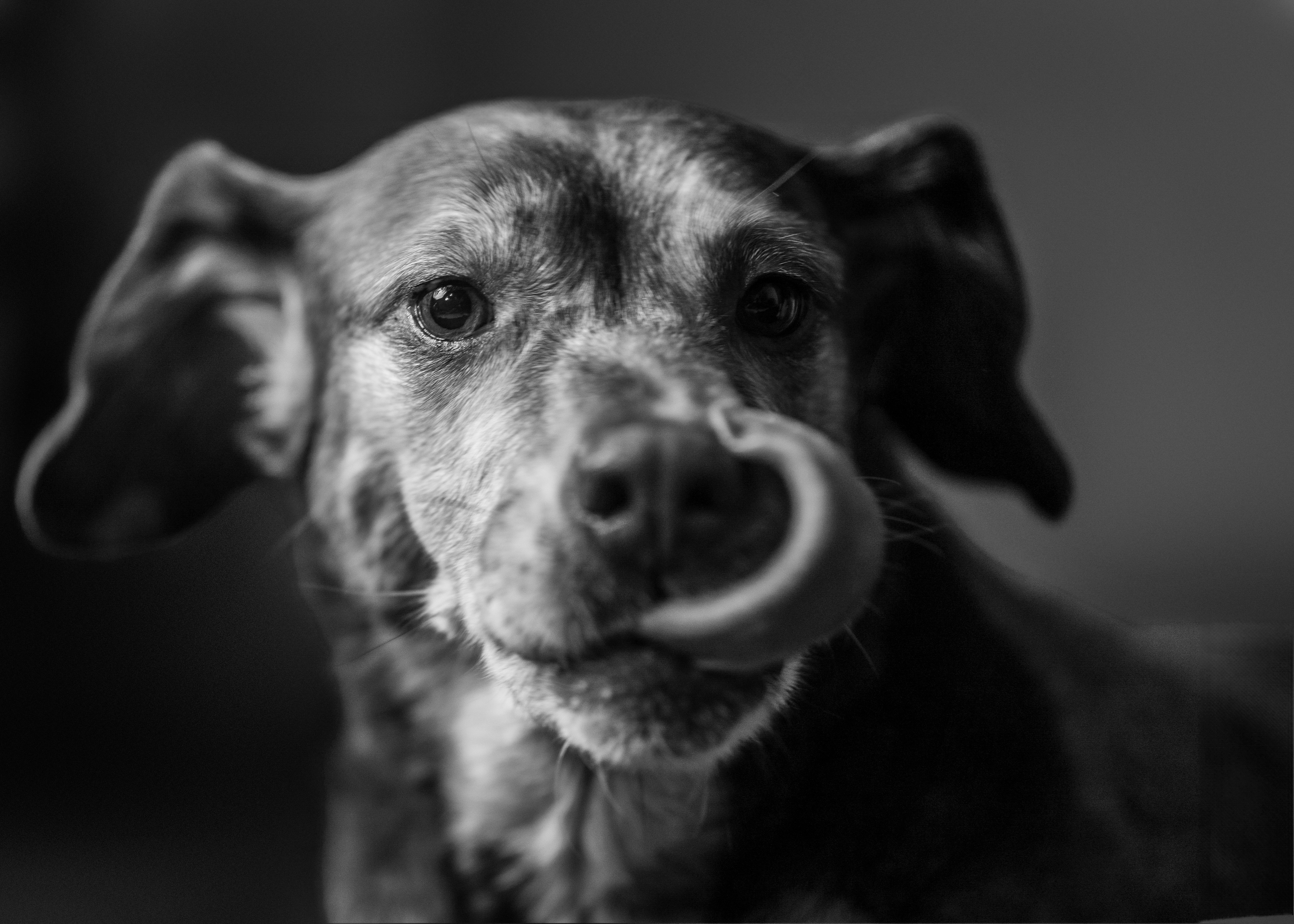 Photo by mharrisonphotography