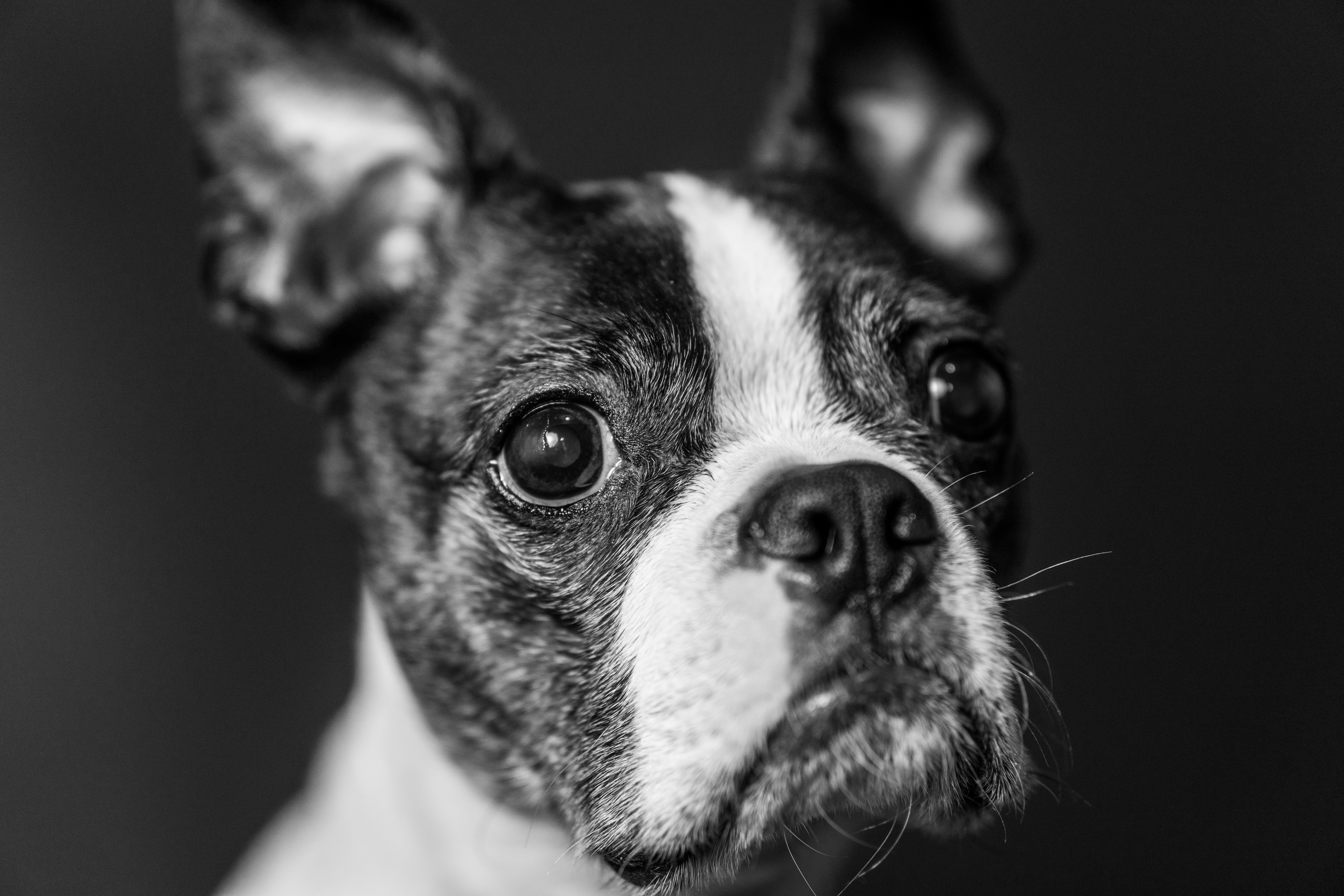 Photo by mharrisonphotography