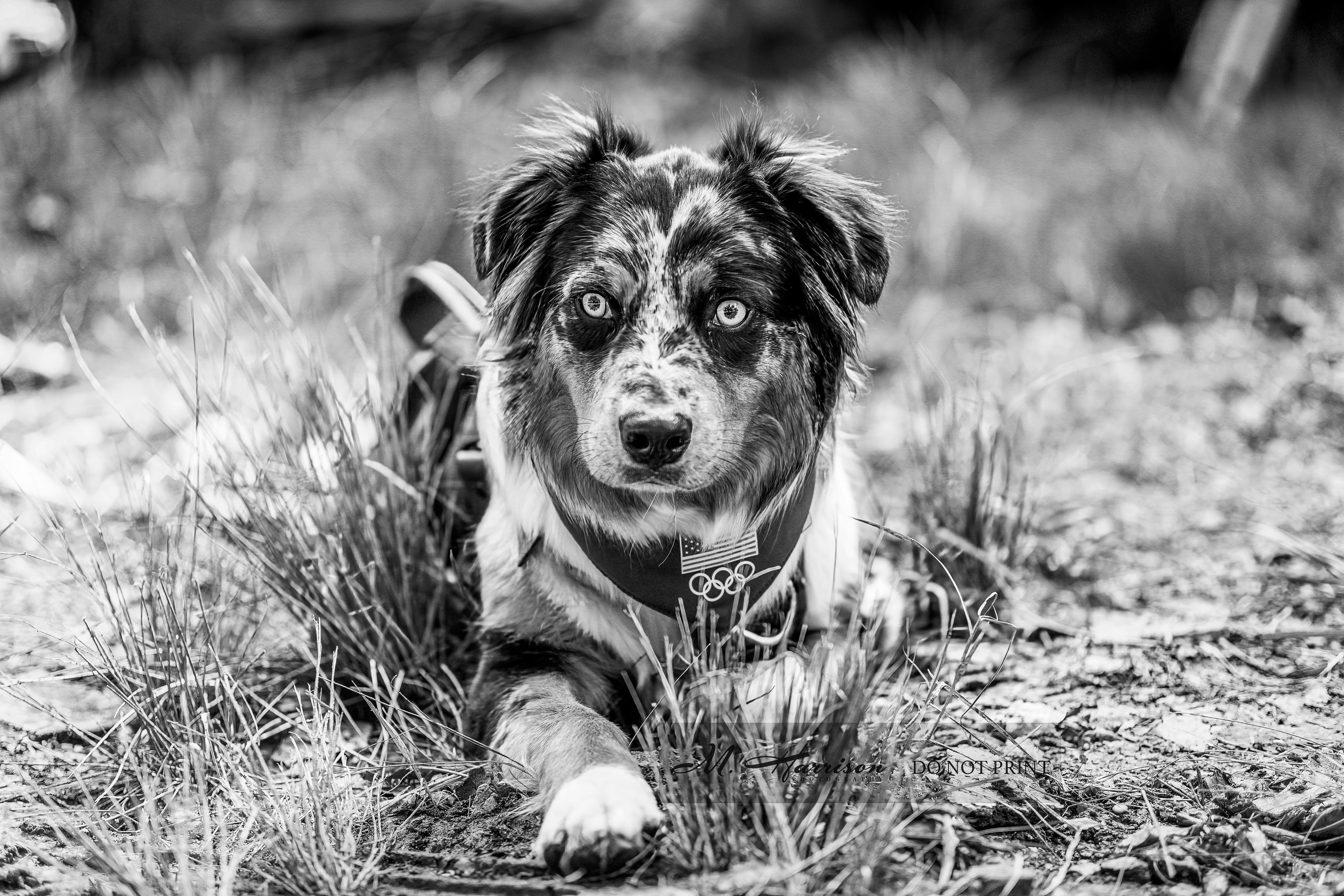 Photo by mharrisonphotography