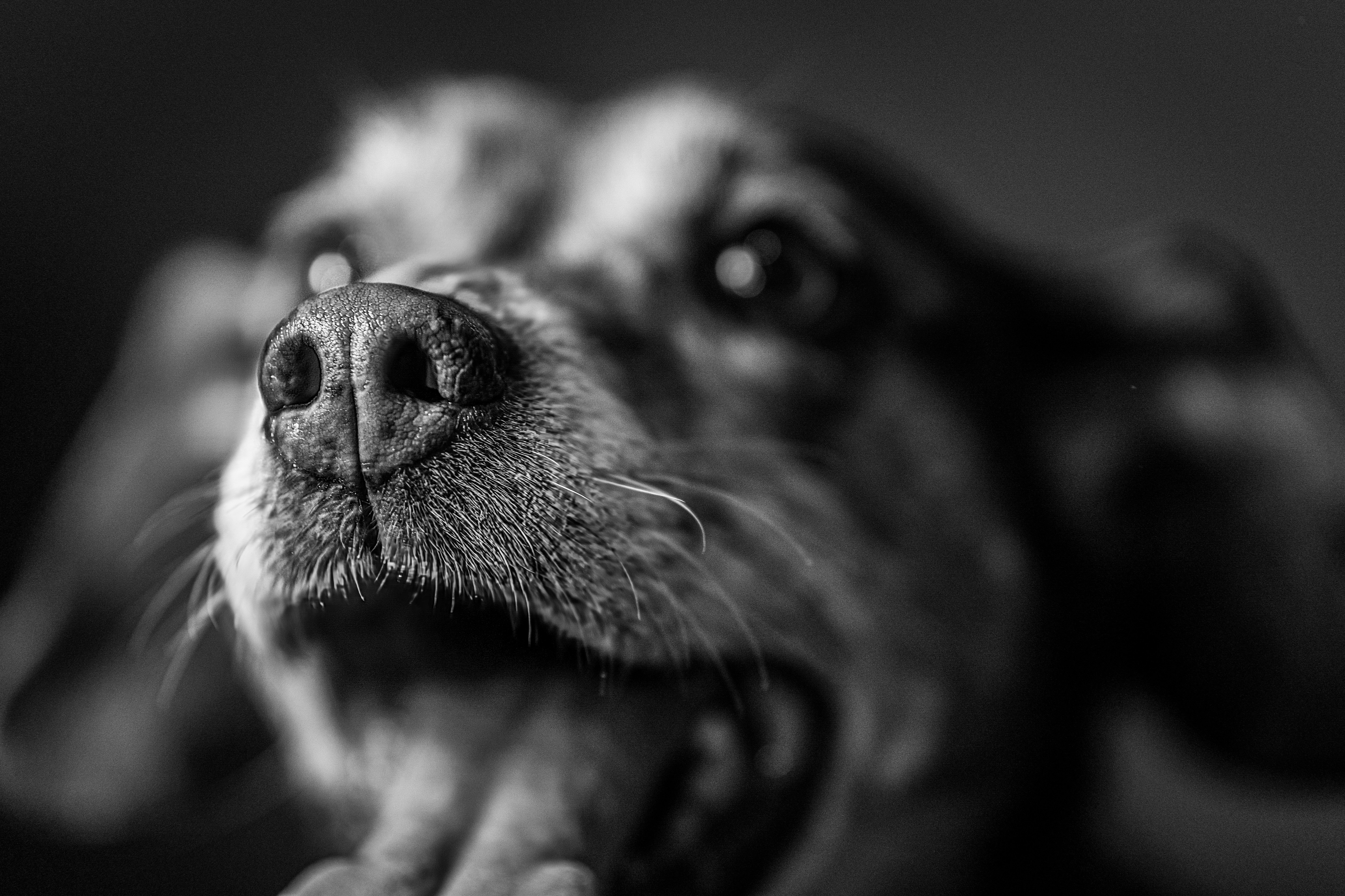 Photo by mharrisonphotography