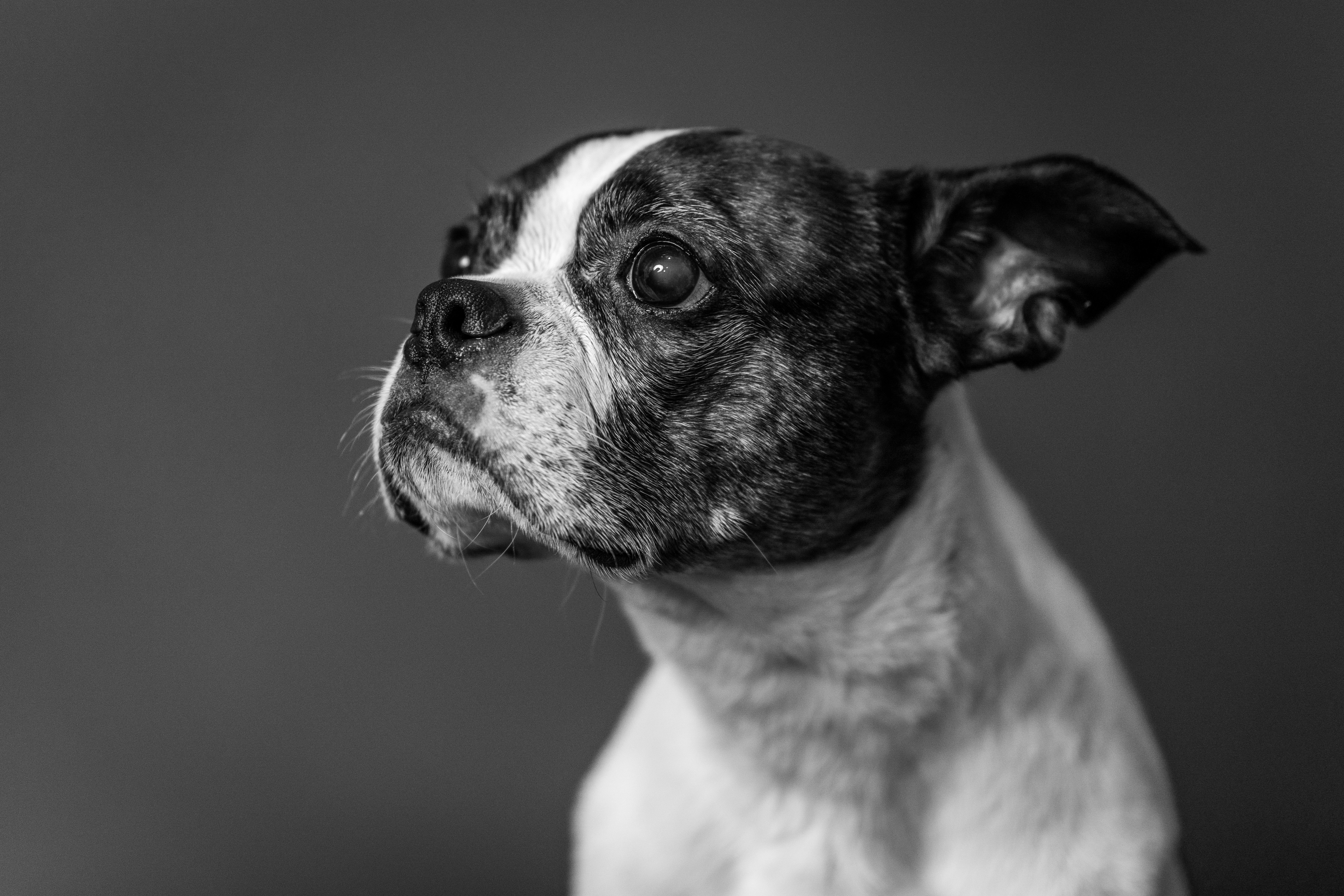 Photo by mharrisonphotography